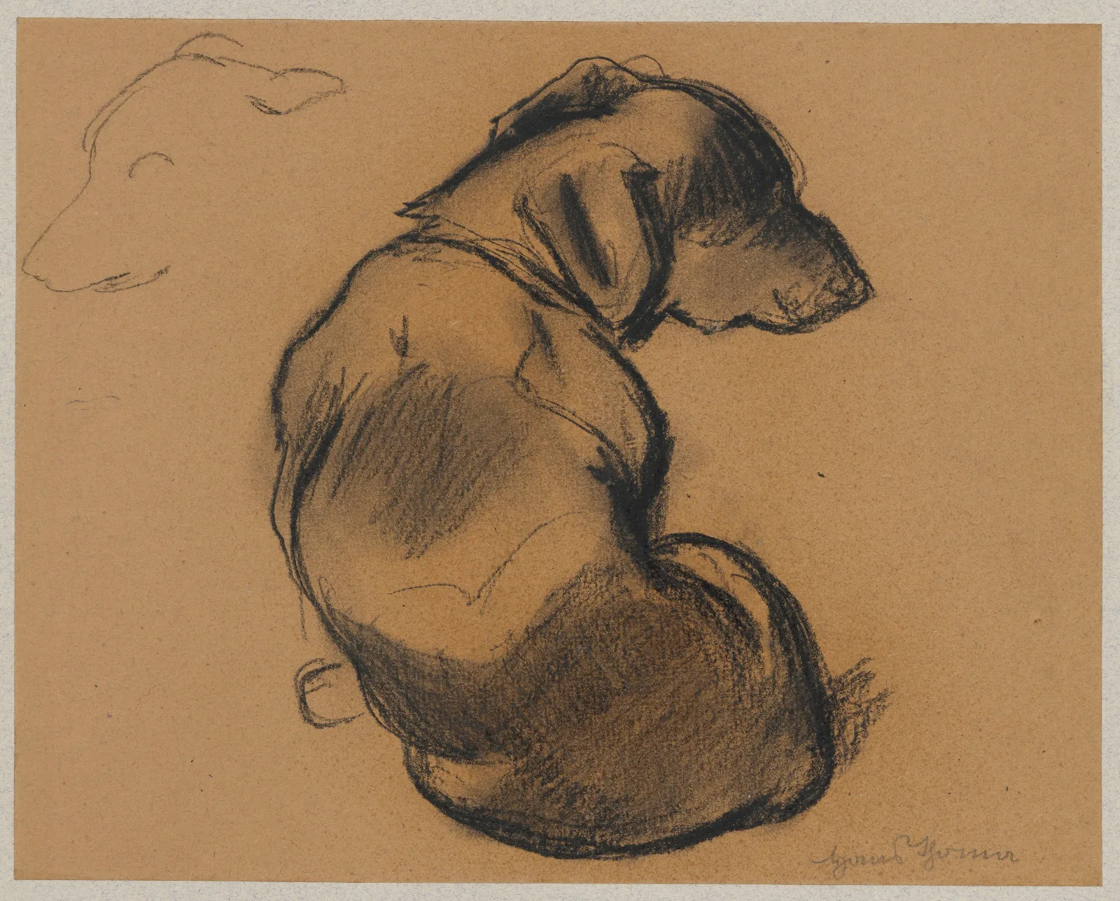 Studies Of A Dachshund 3 Wall Art by Hans Thoma - Canvas Print