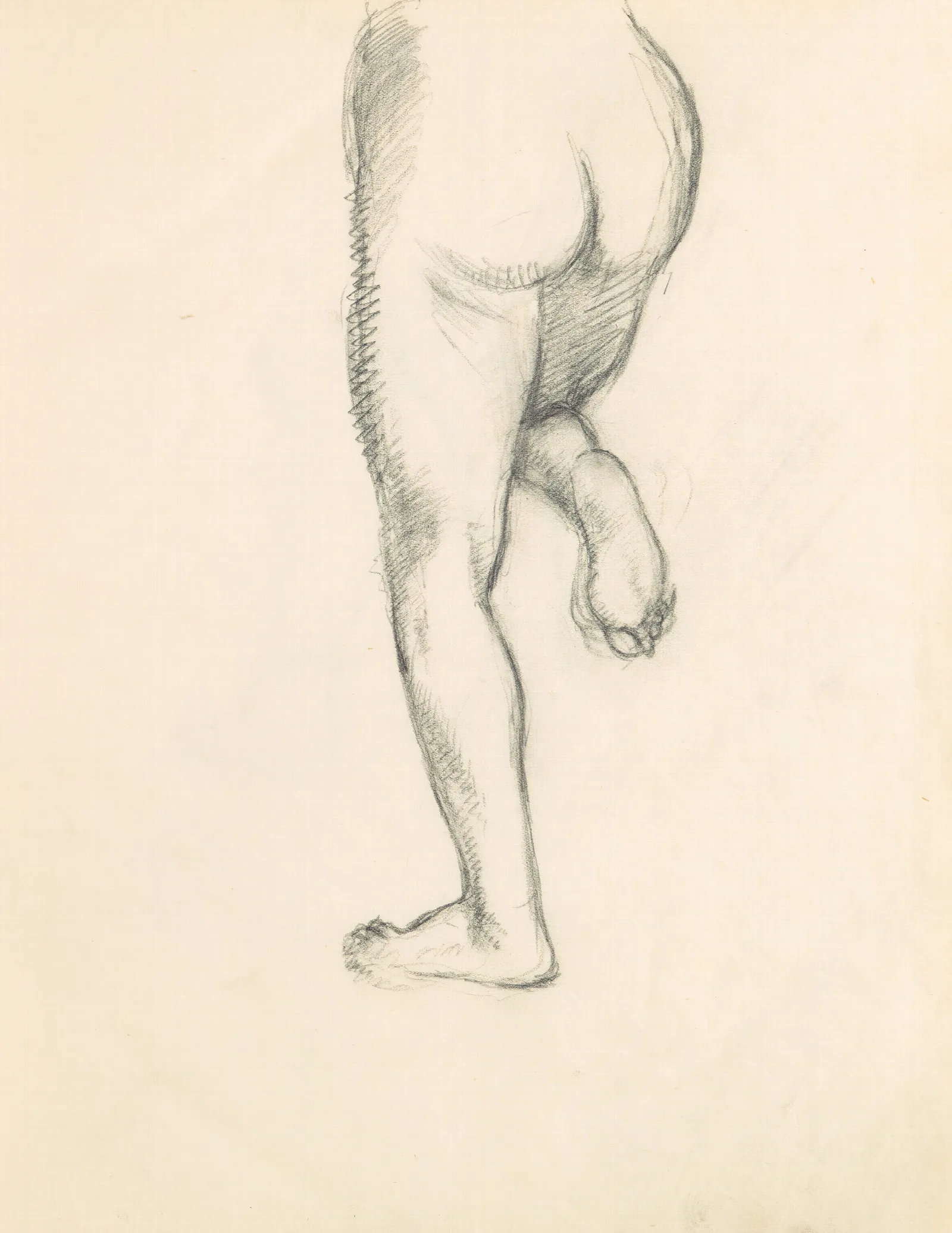 Figure Studies 14 2 Wall Art by Edgar Degas - Canvas Print