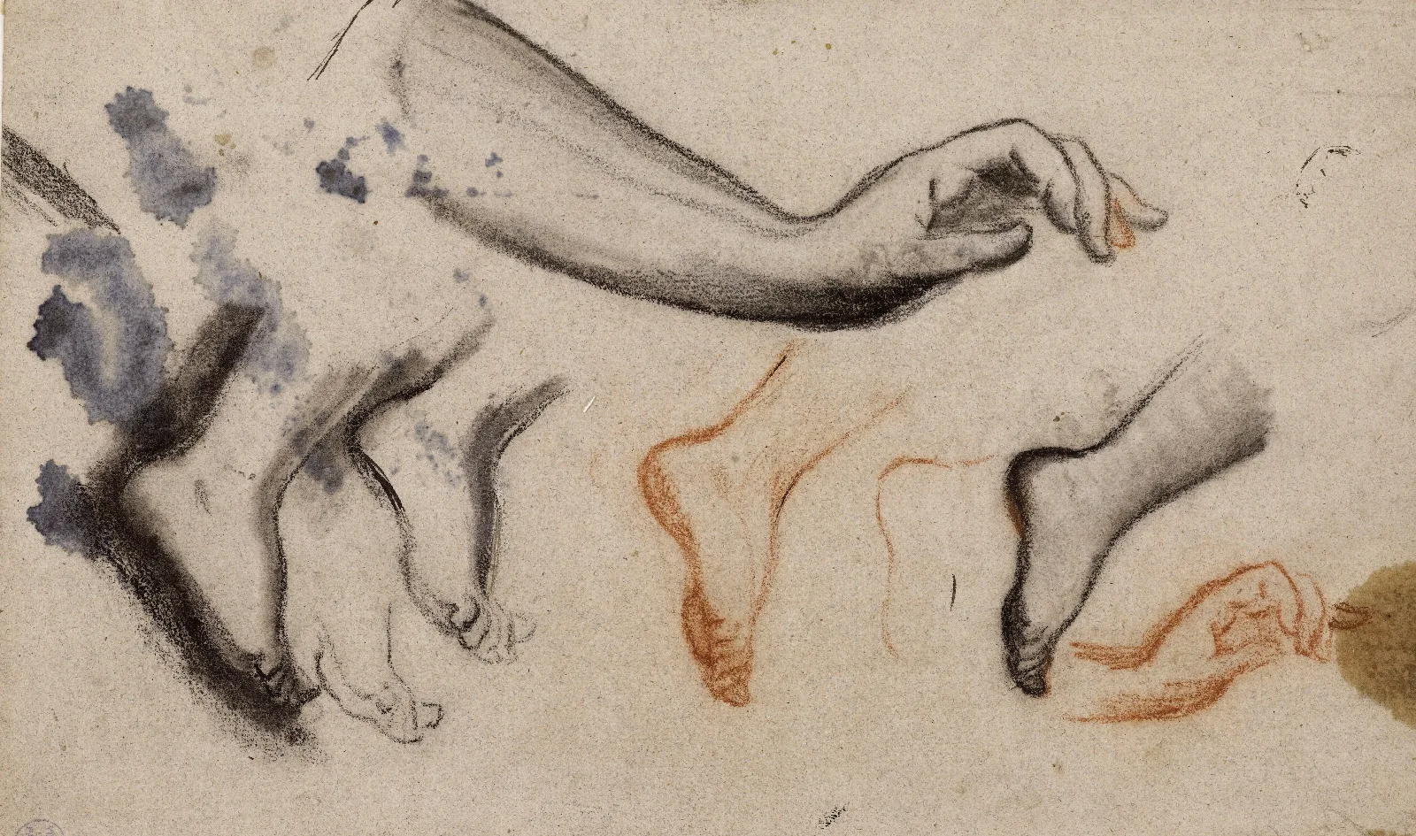 Croquis De Bras Gauche Et Diverses Esquisses De Pieds Wall Art by Narcisse-Virgile Diaz de La Peña - Canvas Print