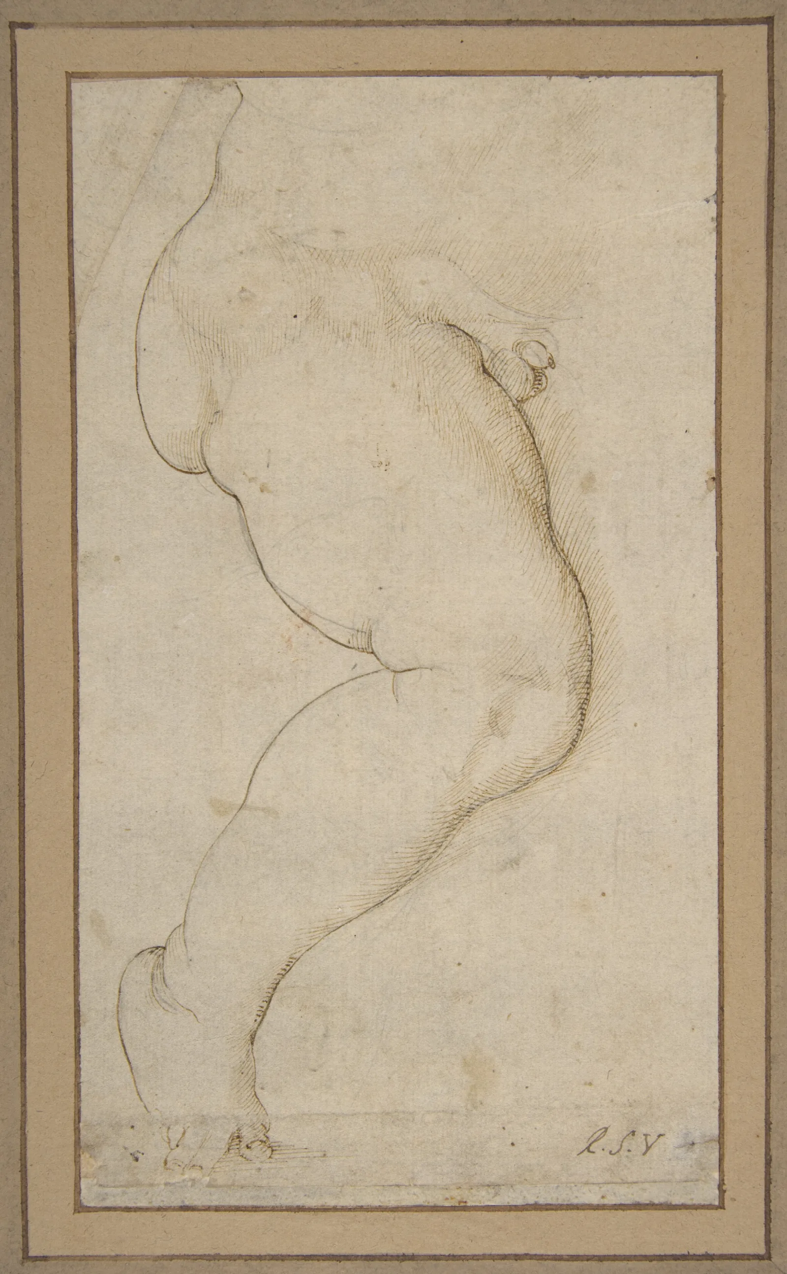 Study Of The Right Leg Of A Male Child Wall Art by Raphael - Canvas Print