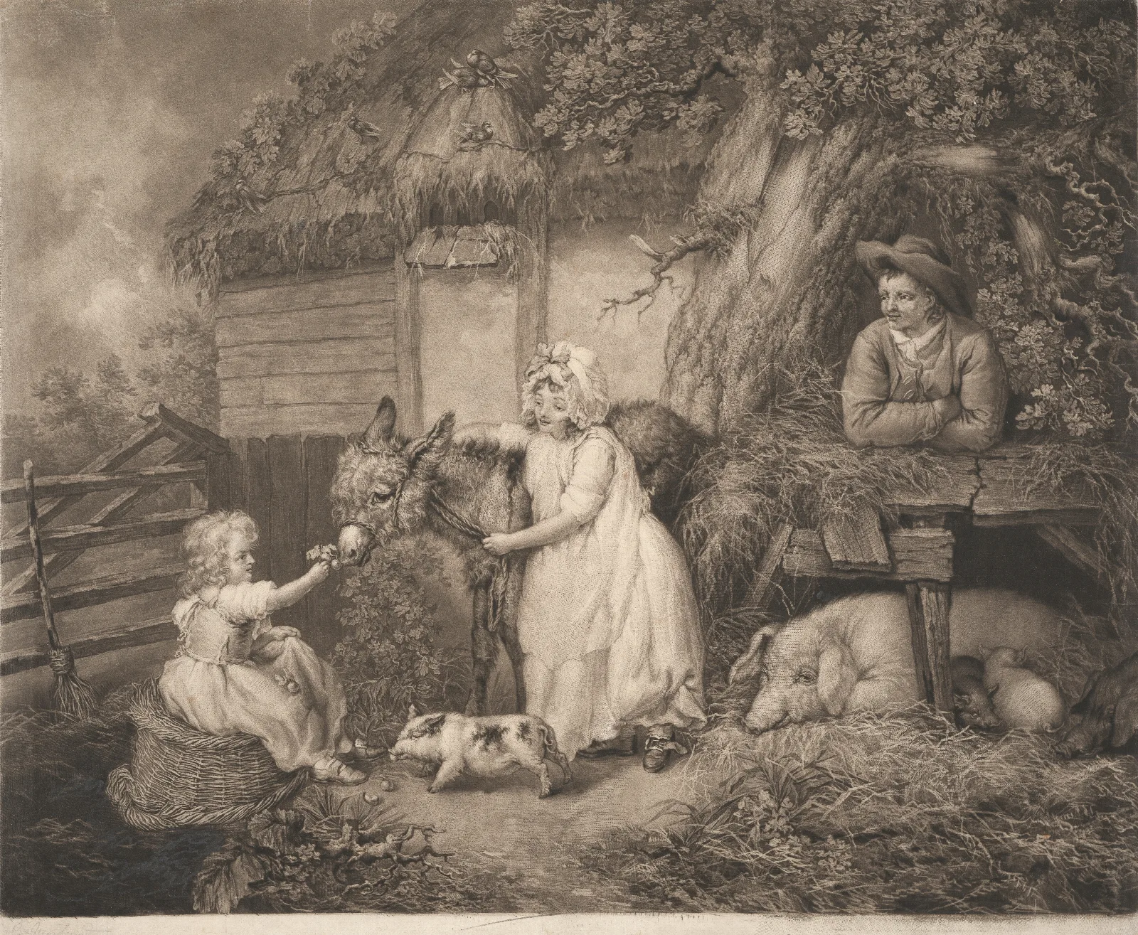 Rustic Felicity Wall Art by James Ward - Canvas Print