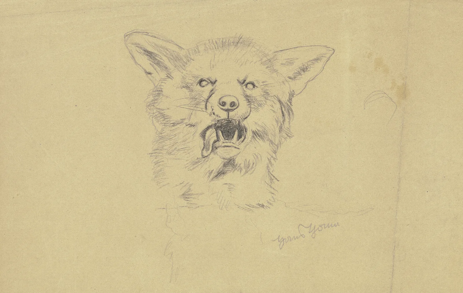 Fox Head Wall Art by Hans Thoma - Canvas Print