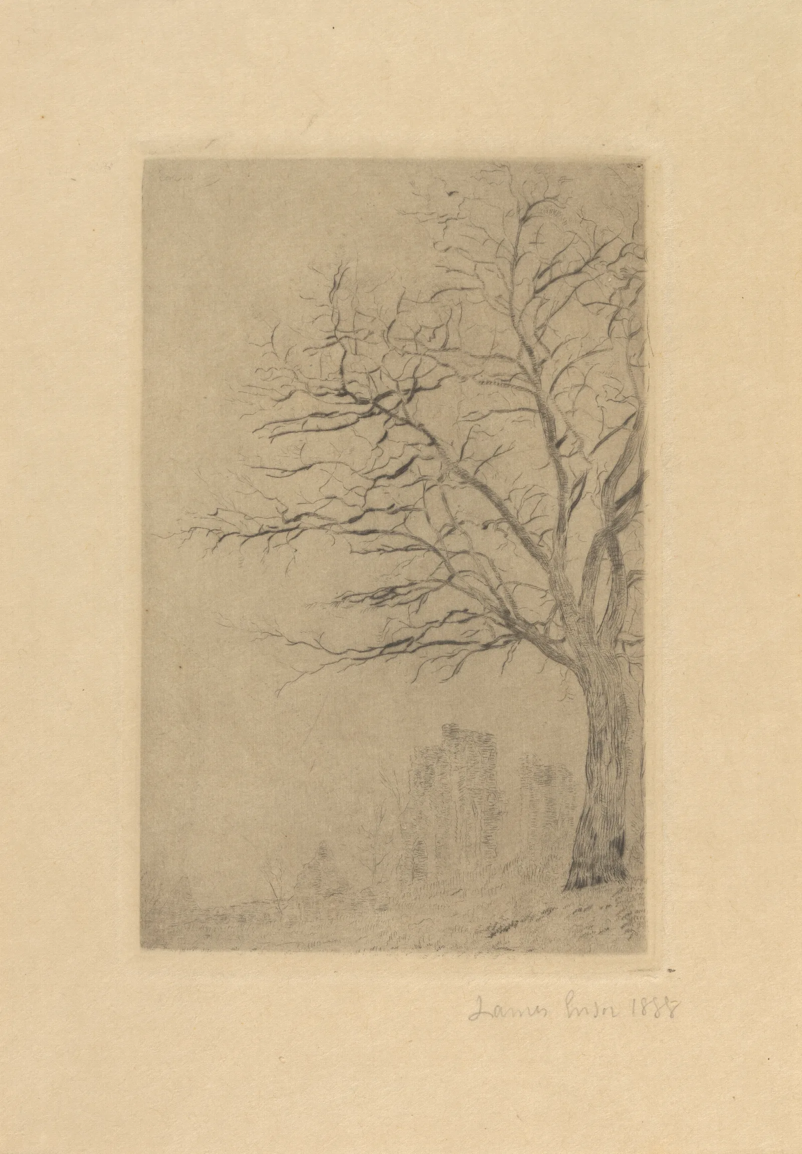 Acacia 2 Wall Art by James Ensor - Canvas Print