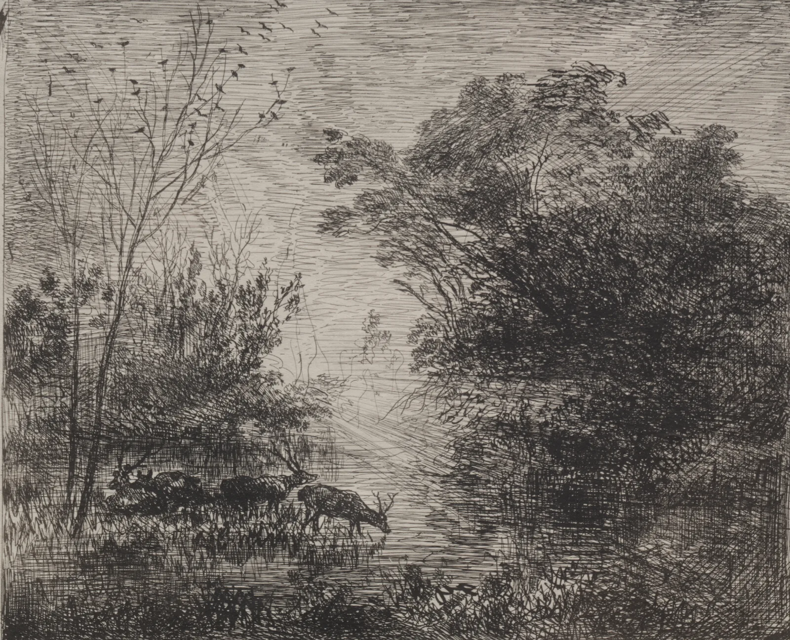 Stags Wall Art by Charles François Daubigny - Canvas Print