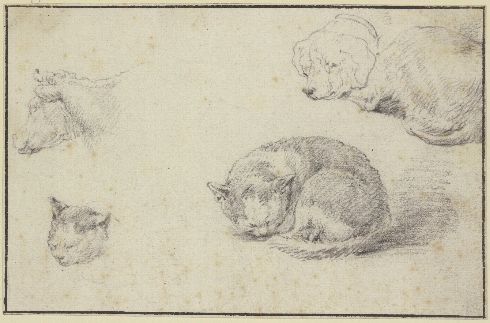 Schlafende Katze Und Hund Ein Kuhkopf Und Ein Katzenkopf Wall Art by Aelbert Cuyp - Canvas Print