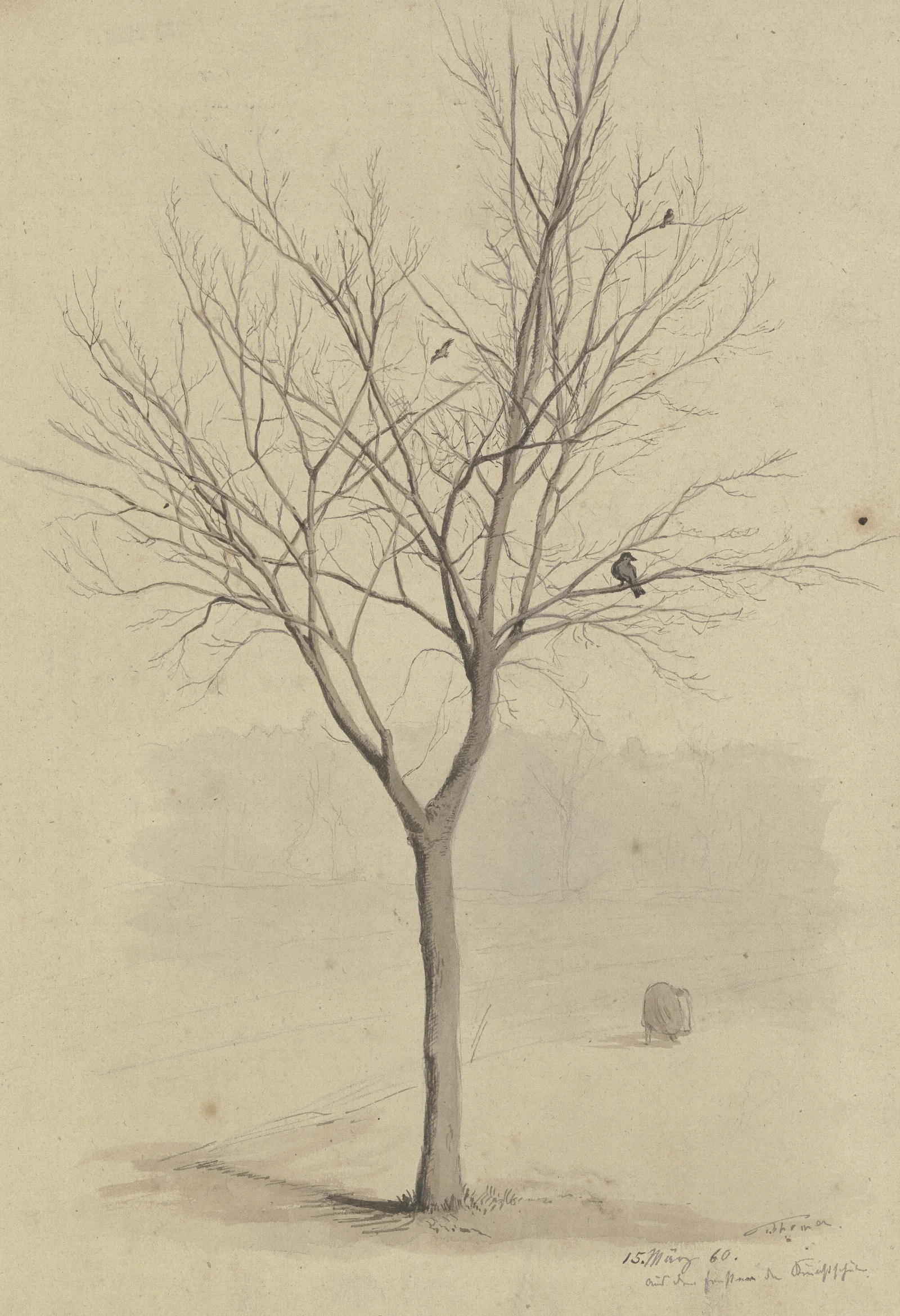 Leafless Tree With Birds Wall Art by Hans Thoma - Canvas Print