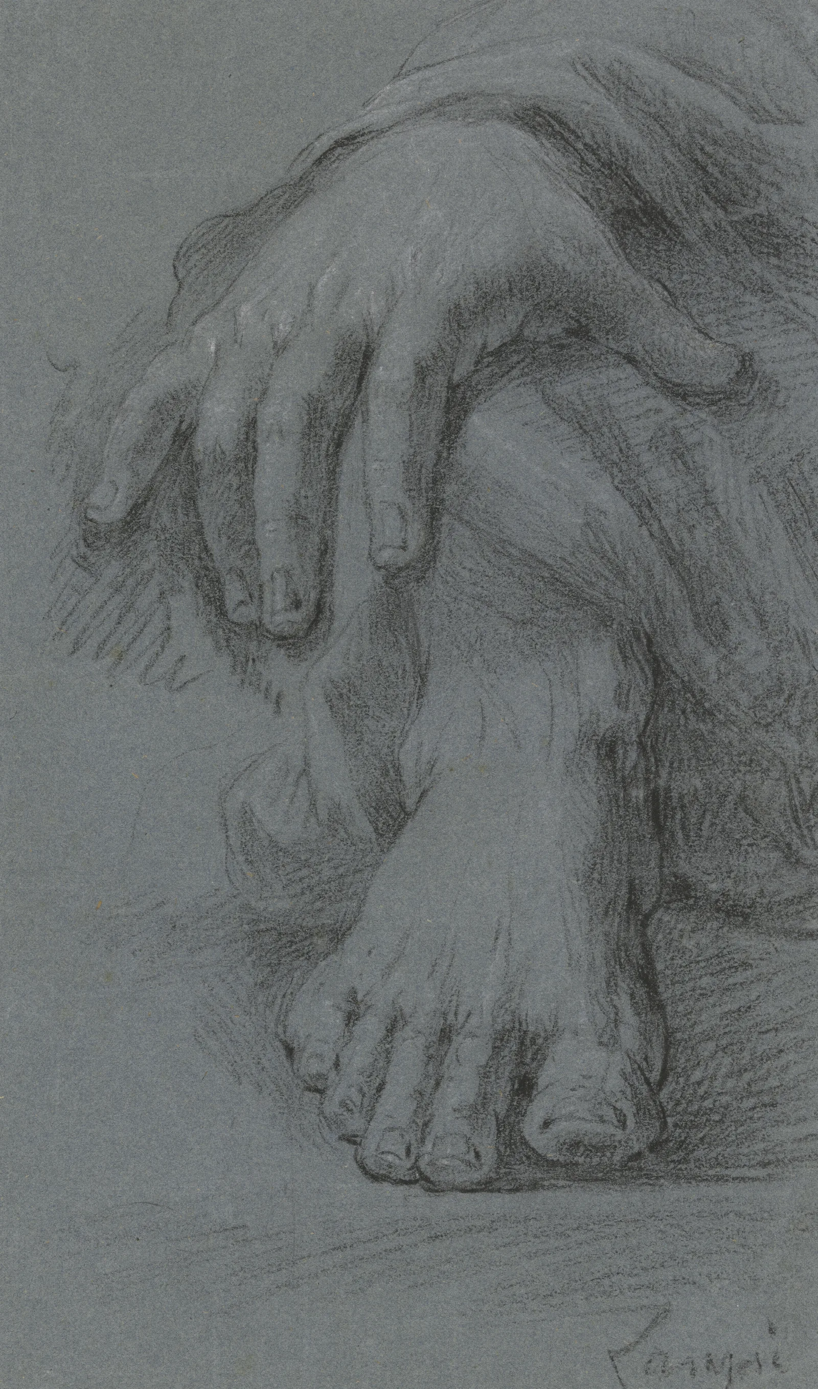 Sketch Of Hand And Foot Wall Art by Johann Baptist von Lampi the Elder - Canvas Print