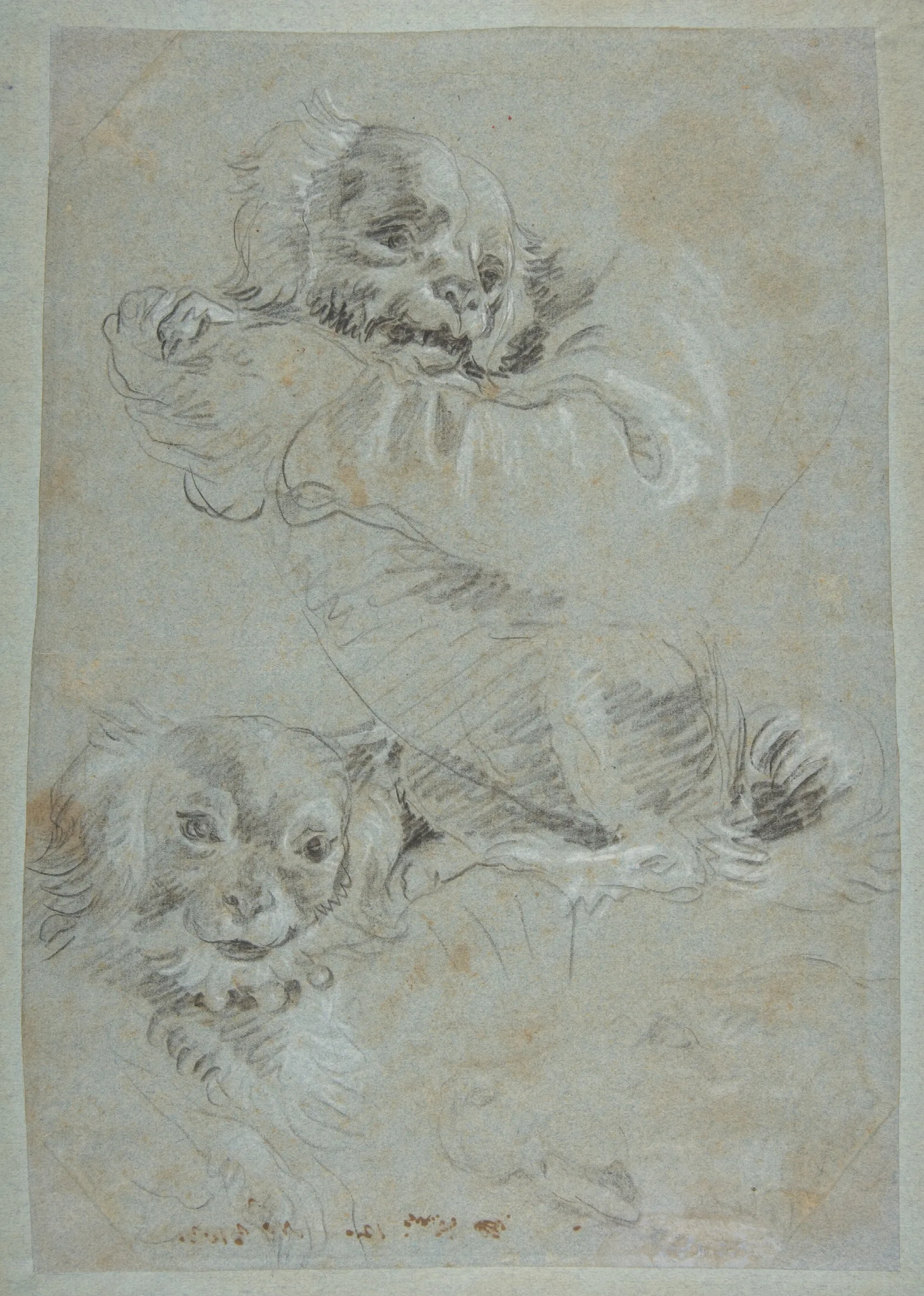 Three Dogs Wall Art by Giovanni Domenico Tiepolo - Canvas Print