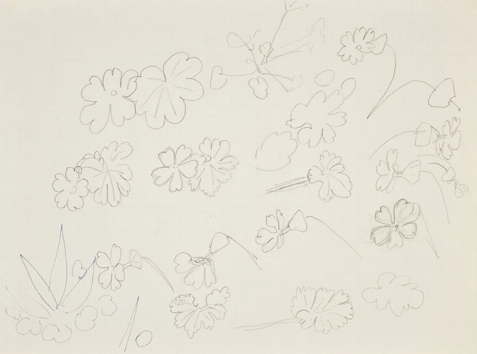 Feuilles Wall Art by Henri Matisse - Canvas Print