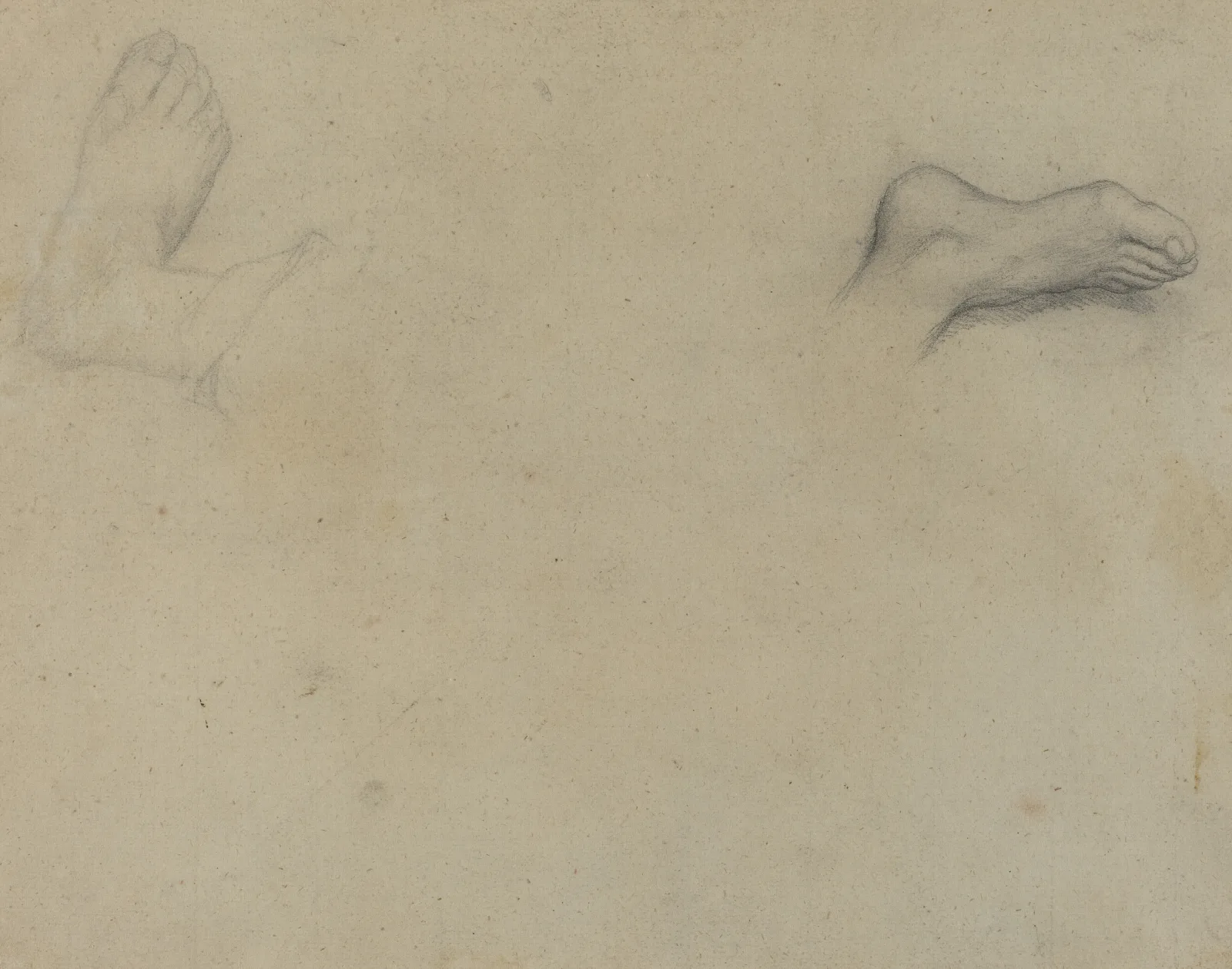 Studies Of Feet Verso Wall Art by Edgar Degas - Canvas Print