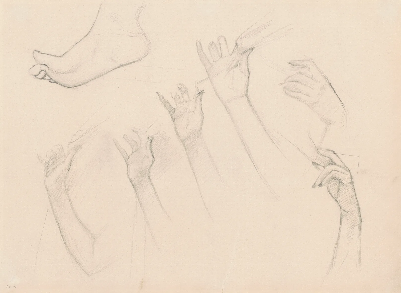 Studies For Fumee Dambre Gris Wall Art by John Singer Sargent - Canvas Print