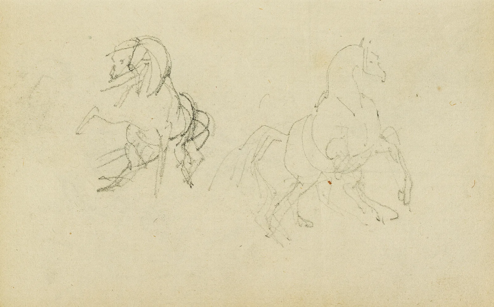 Two Studies Of A Rearing Horse Wall Art by Théodore Géricault - Canvas Print