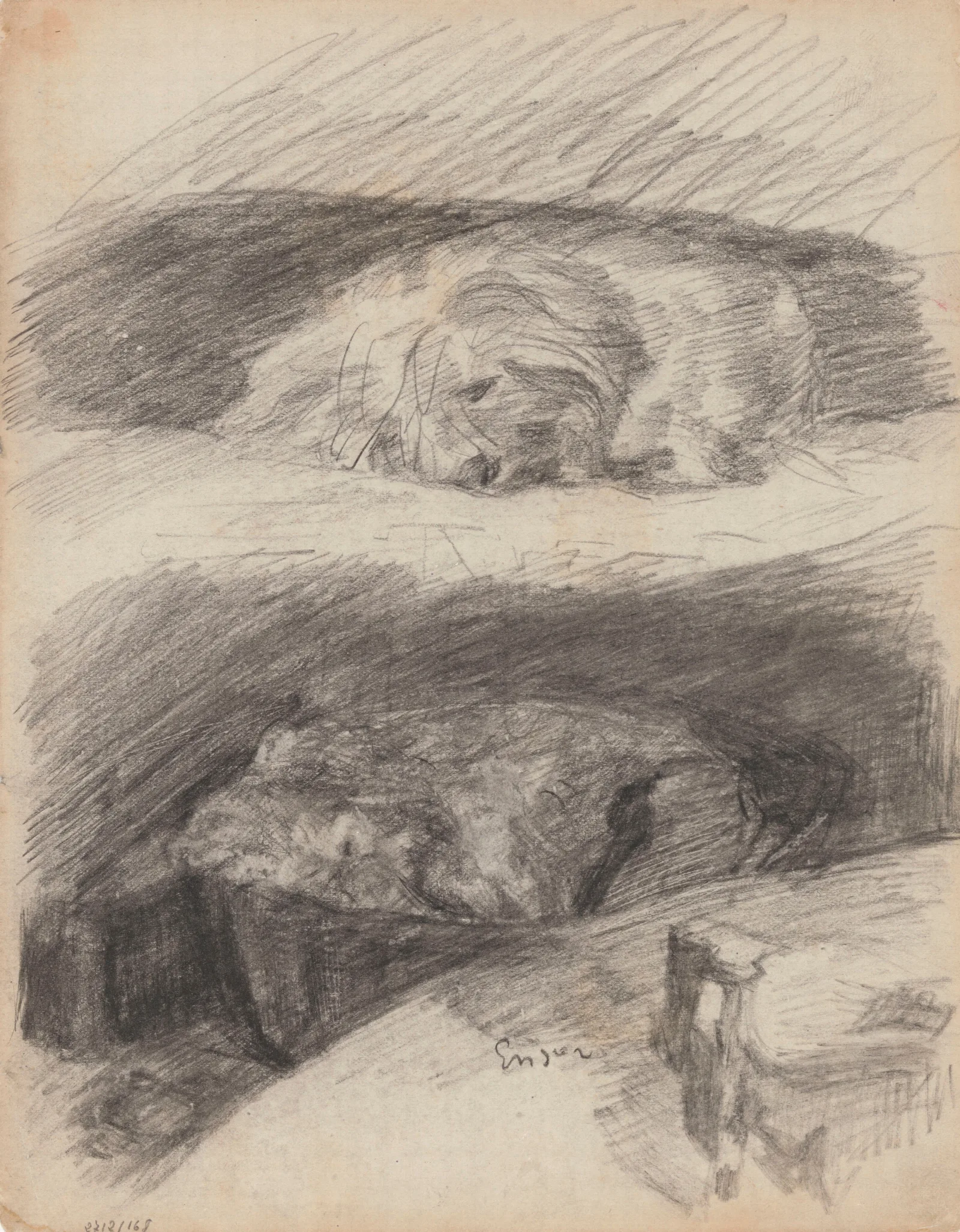 Sleeping Dogs Wall Art by James Ensor - Canvas Print