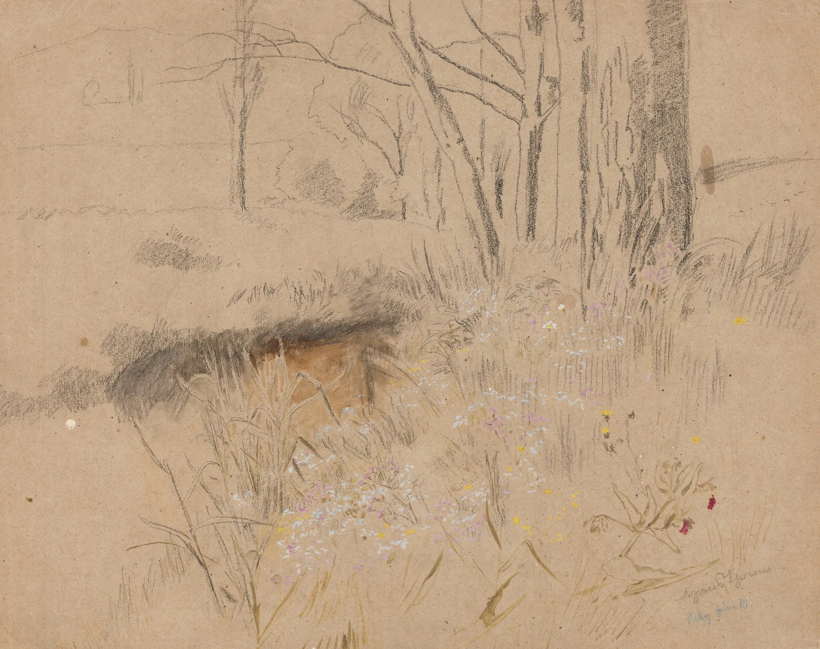 Meadow 4 Wall Art by Hans Thoma - Canvas Print