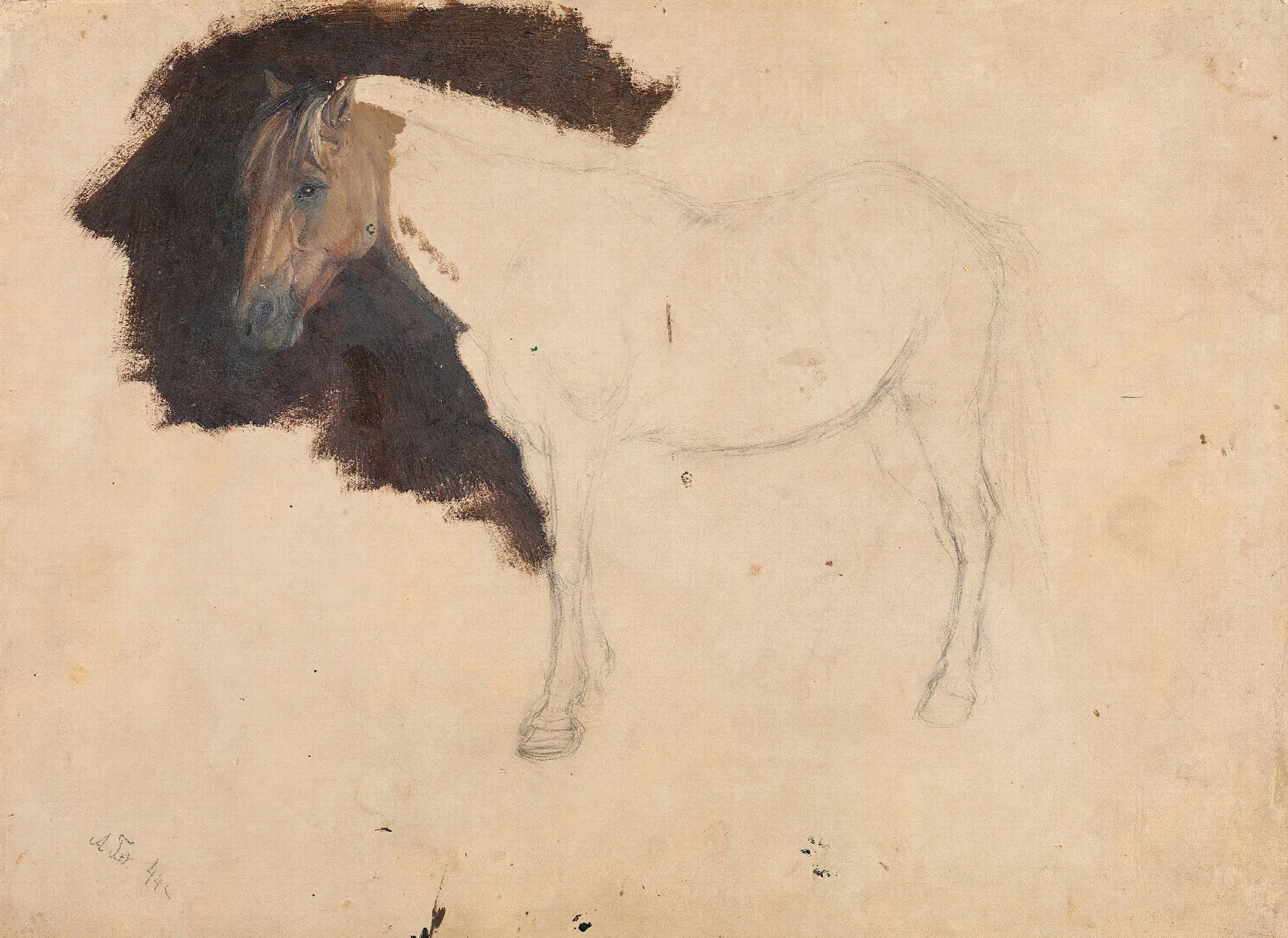 Study Of A Horse 3 Wall Art by Adolph Tidemand - Canvas Print