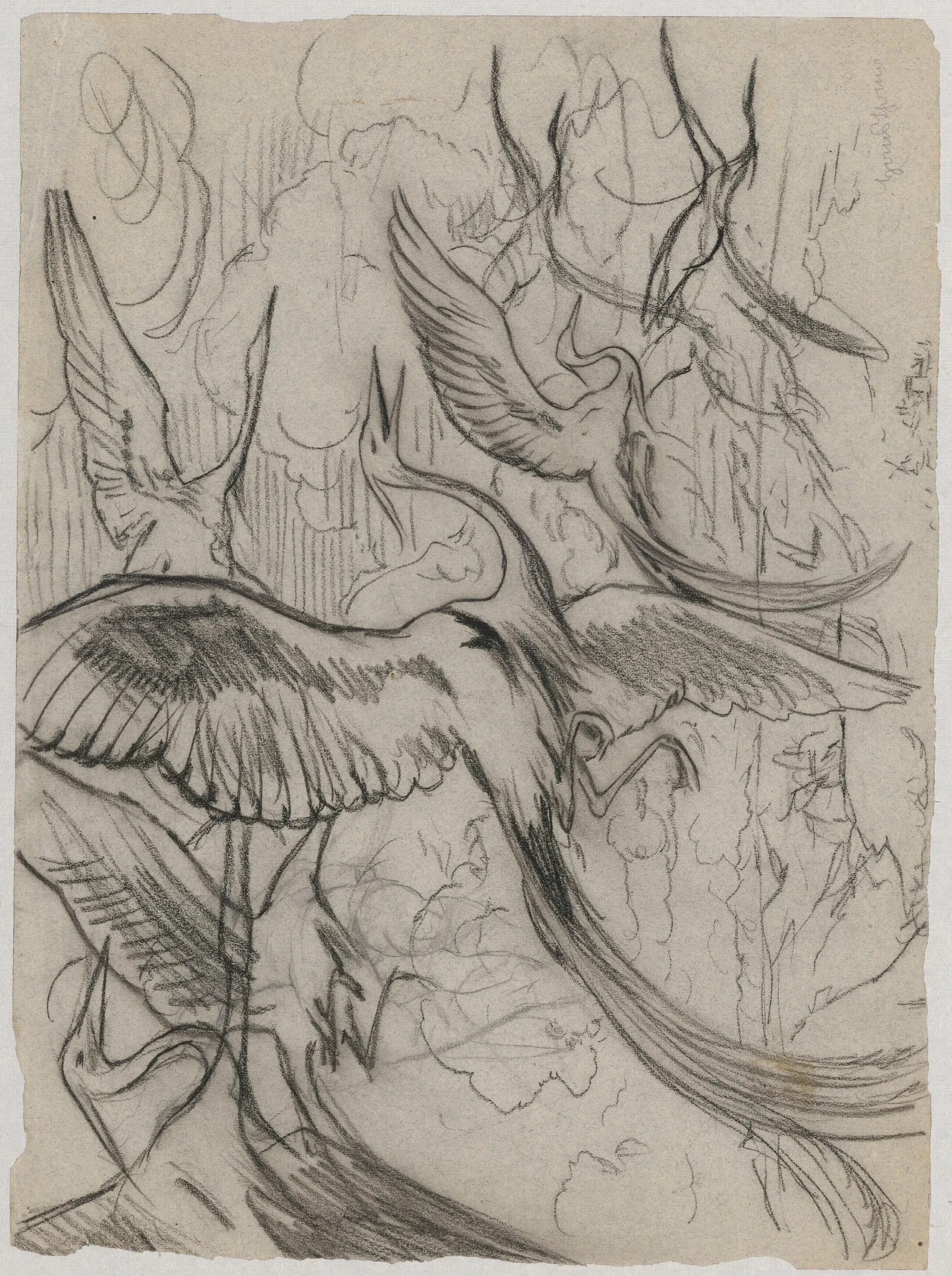 Wonderful Birds Wall Art by Hans Thoma - Canvas Print