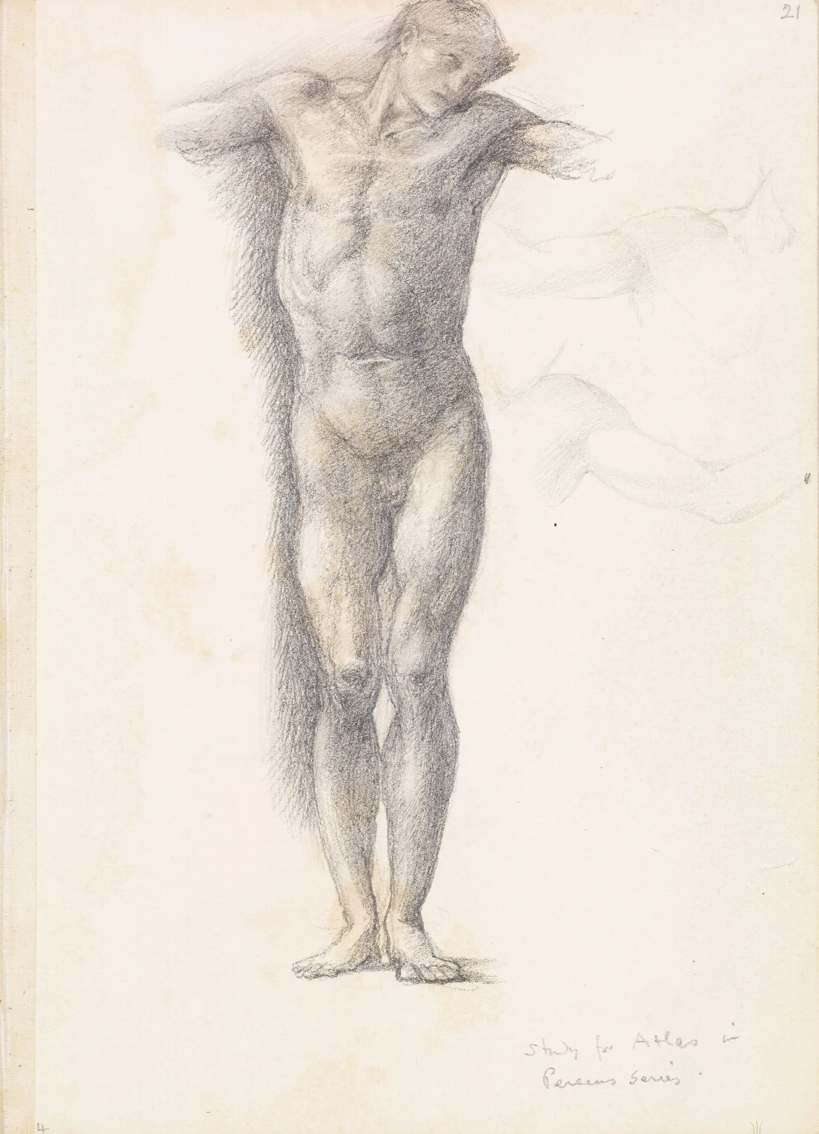 Sketchbook Study For Atlas In Atlas Turned To Stone Wall Art by Sir Edward Coley Burne-Jones - Canvas Print