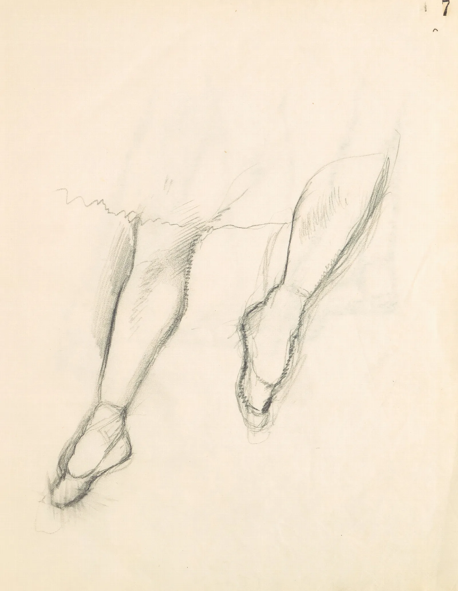 Figure Studies 8 2 Wall Art by Edgar Degas - Canvas Print