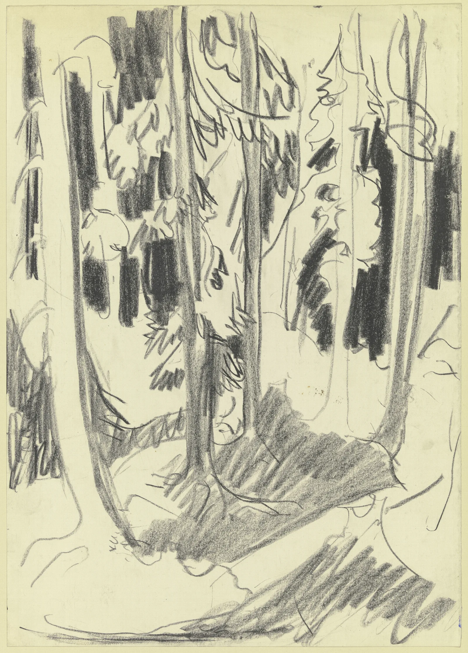 Fir Forest 2 Wall Art by Ernst Ludwig Kirchner - Canvas Print