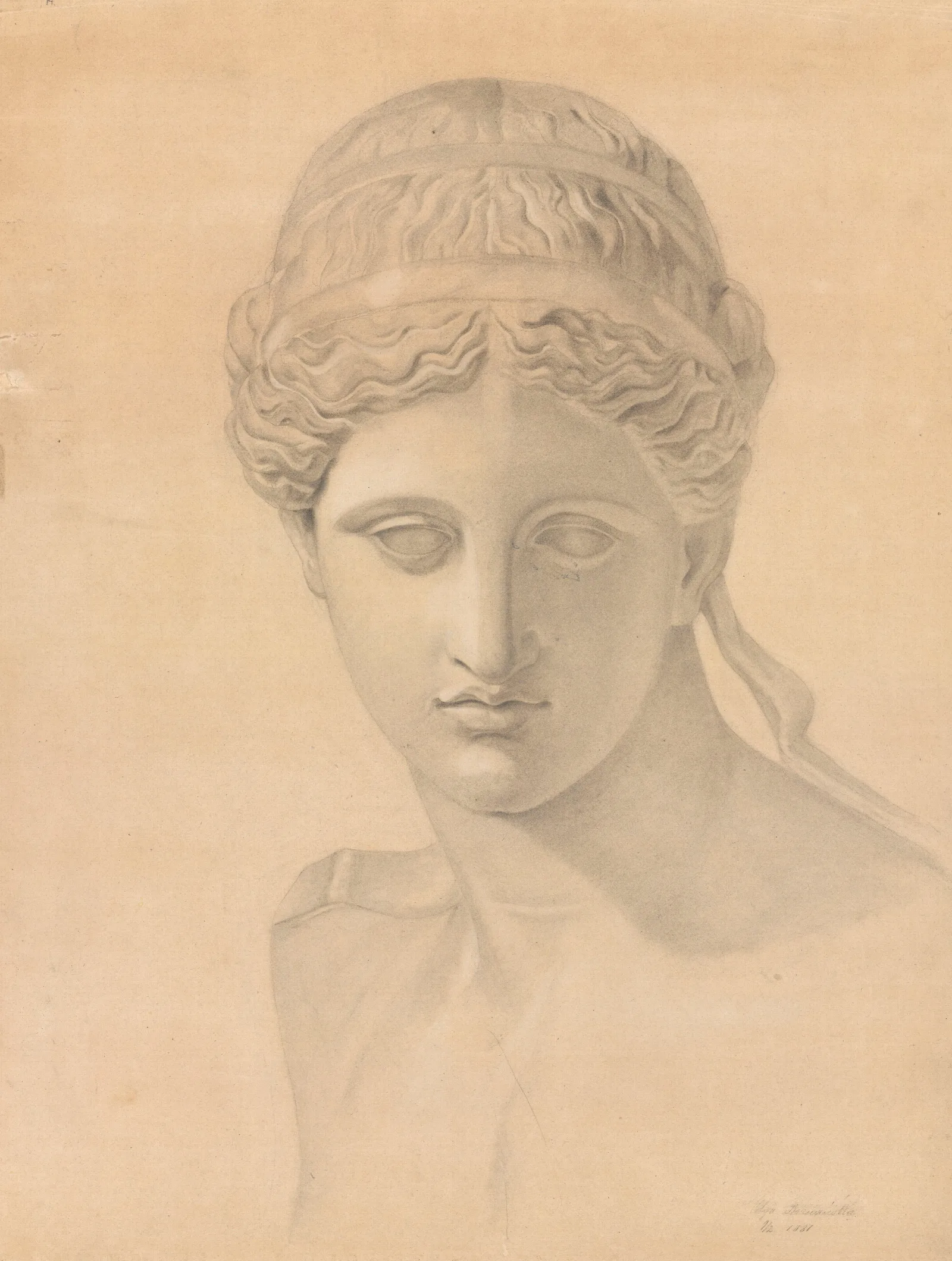 Study Of An Bust Wall Art by Olga Boznanska - Canvas Print