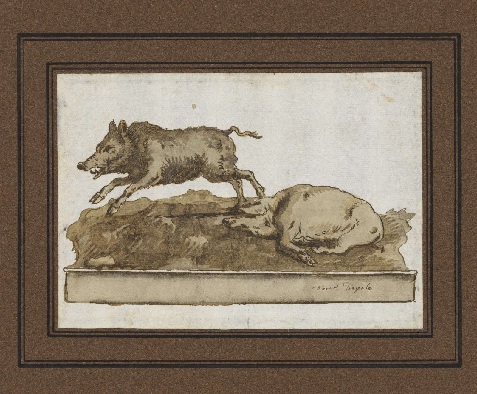 A Boar Galloping To The Left And A Sleeping Sow On The Base Wall Art by Giovanni Domenico Tiepolo - Canvas Print