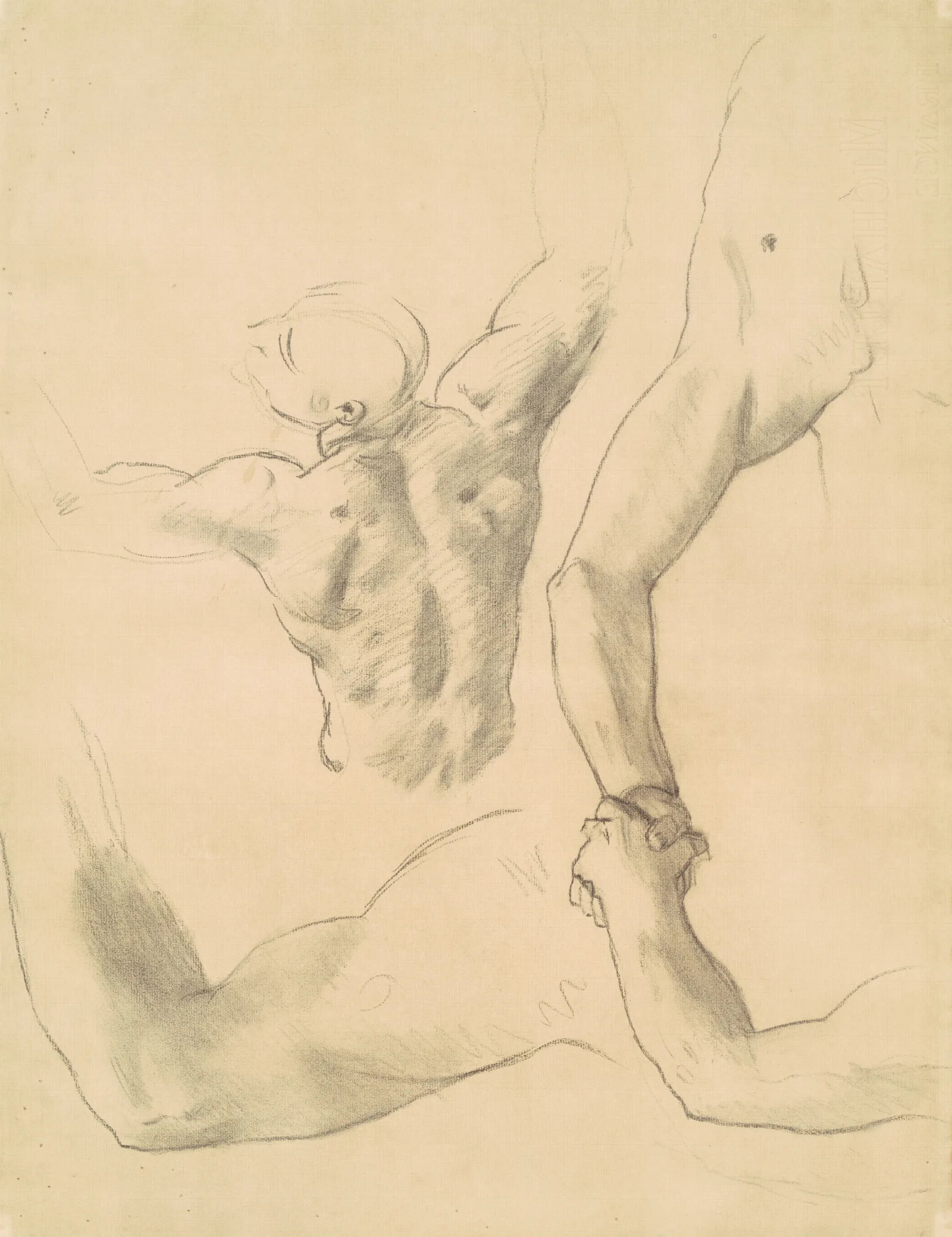 Studies For Two Classical Male Figures Wrestling Wall Art by John Singer Sargent - Canvas Print