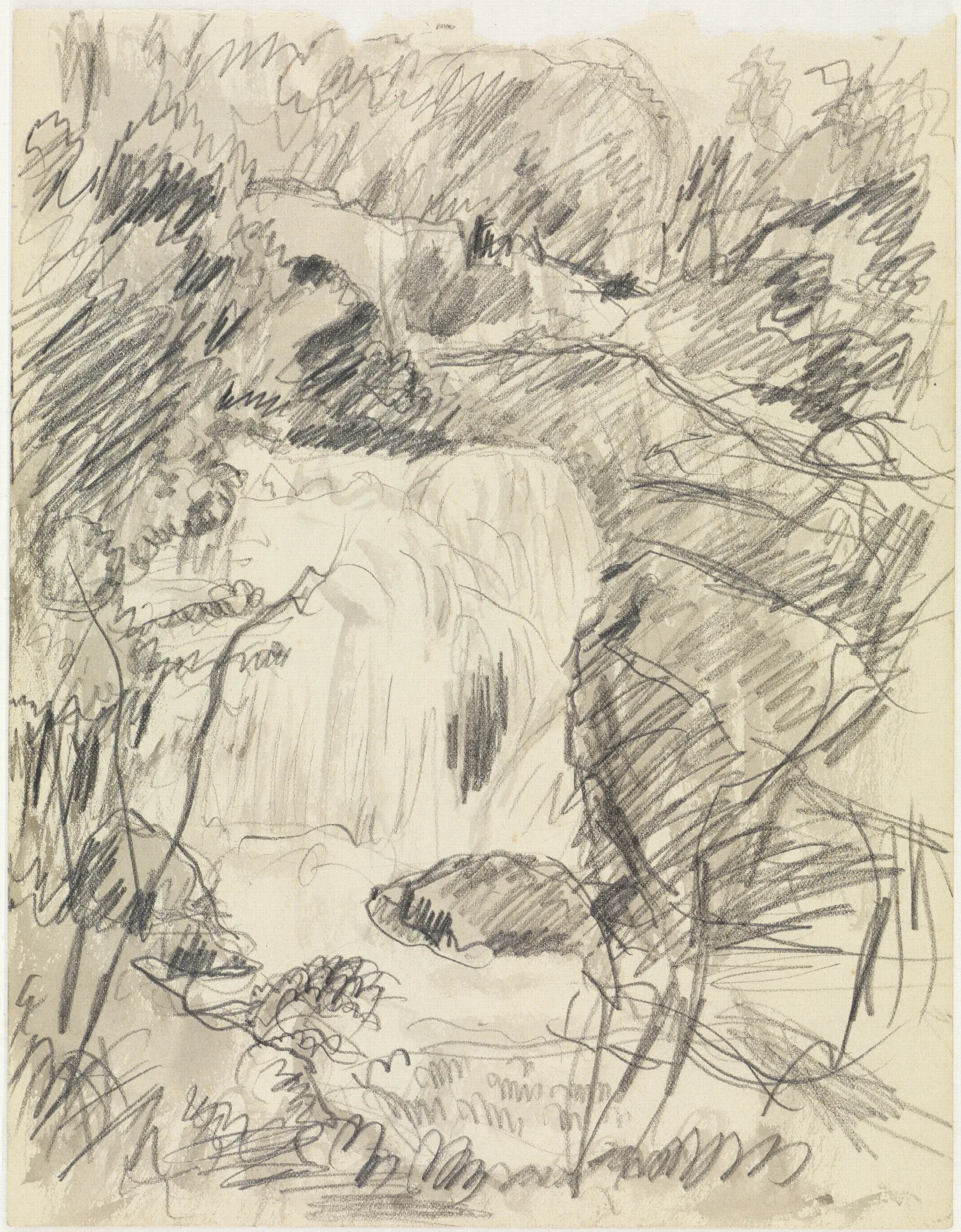 Wasserfall 2 Wall Art by Pierre Bonnard - Canvas Print