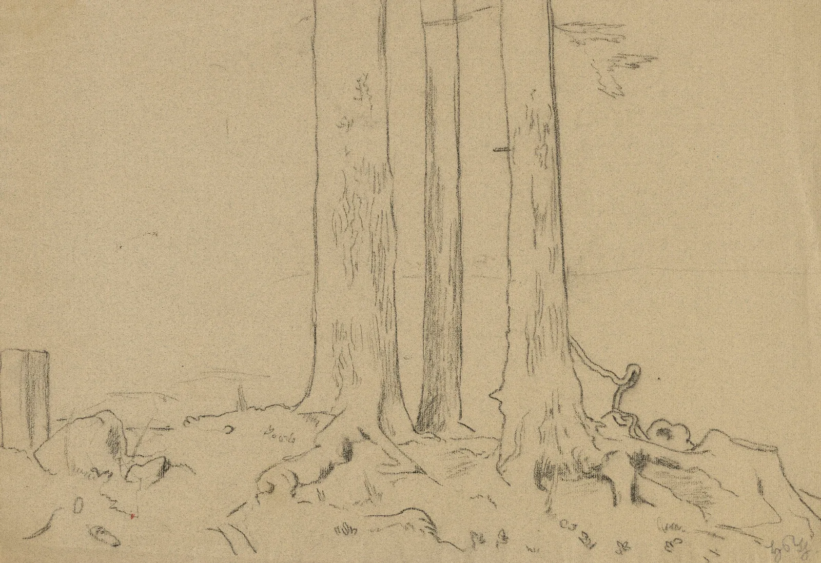 Trunks Of Three Trees Wall Art by Hans Thoma - Canvas Print