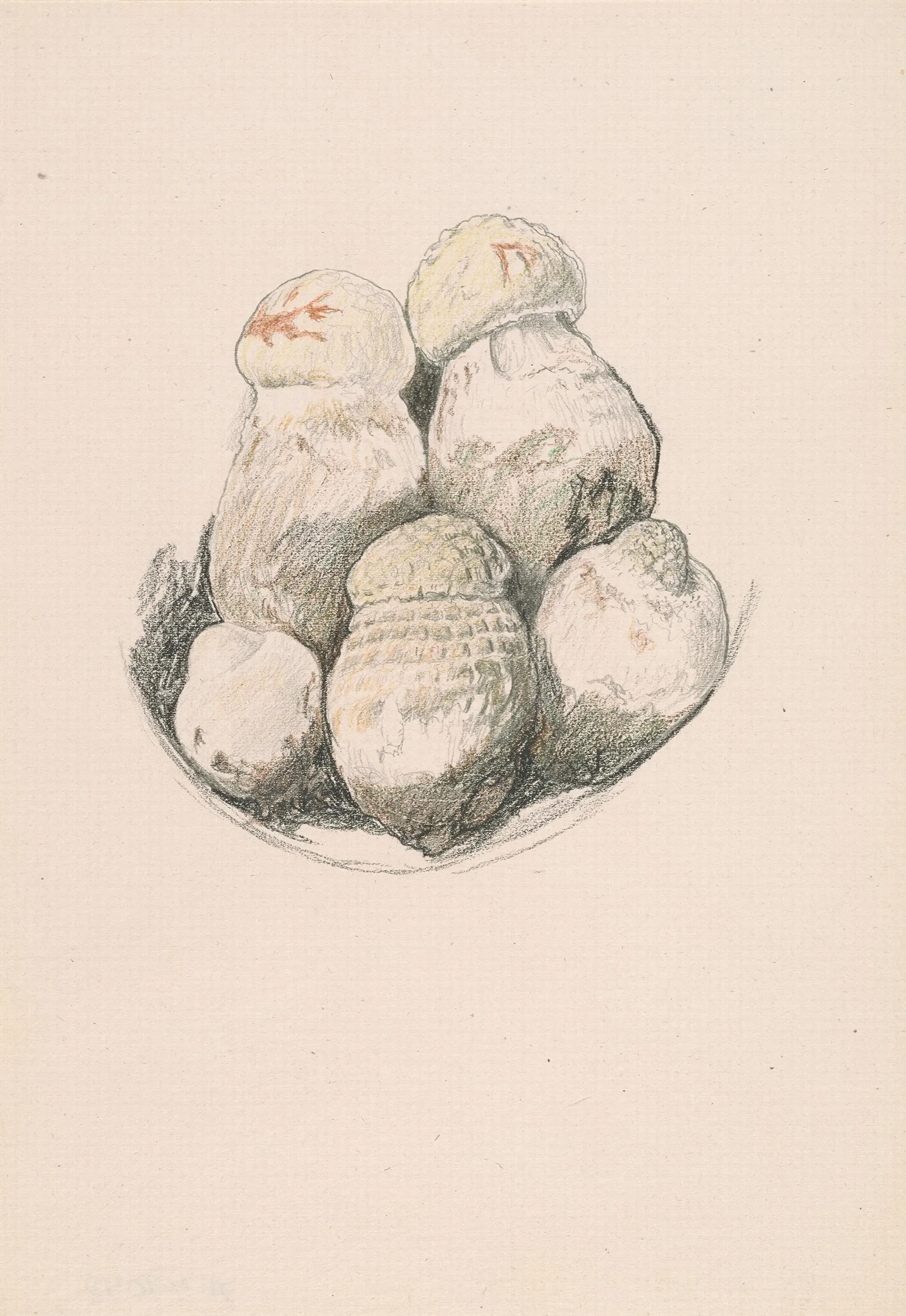 Plate Of Mushrooms Wall Art by Elihu Vedder - Canvas Print