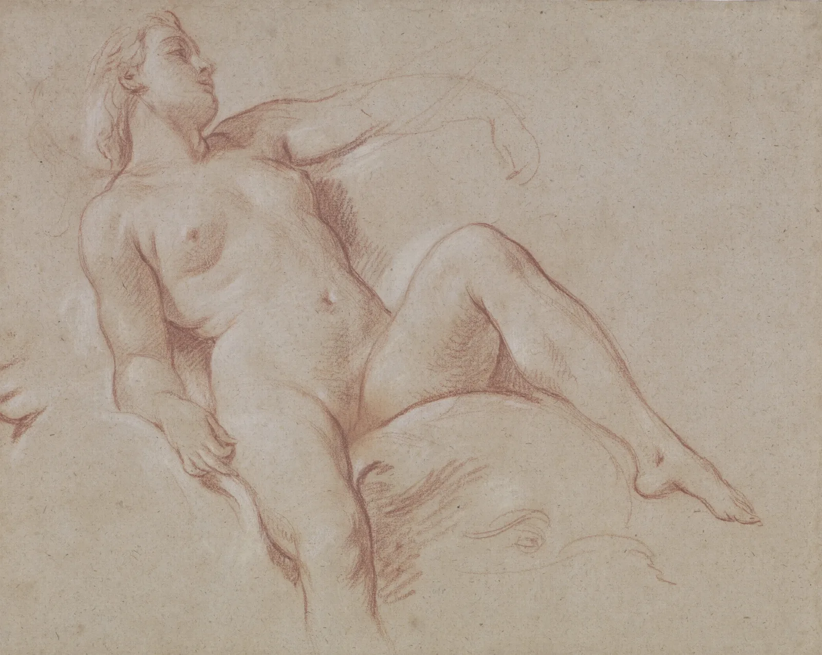 Female Nude On A Dolphin Wall Art by François Boucher - Canvas Print