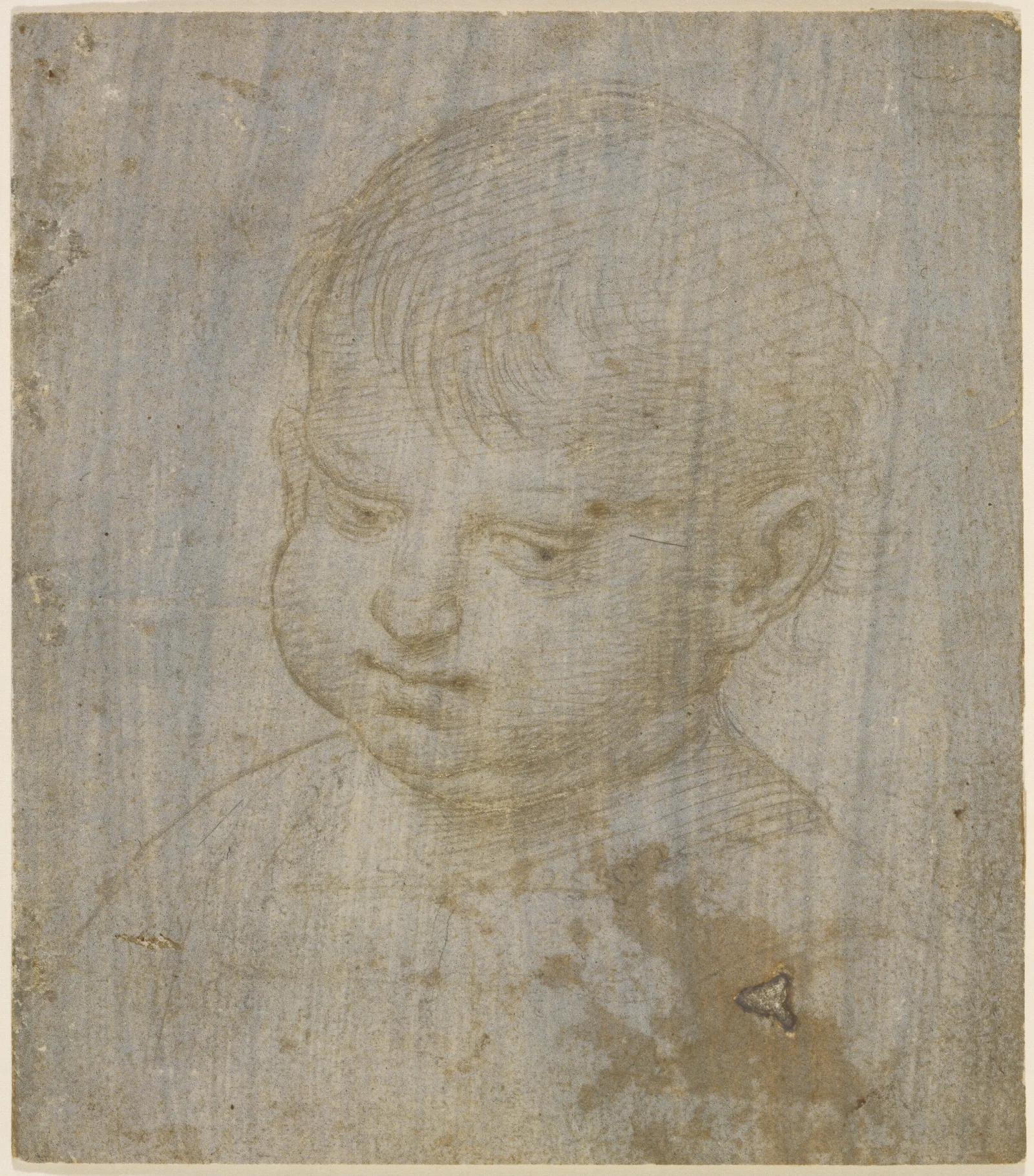 A Childs Head Wall Art by Raphael - Canvas Print
