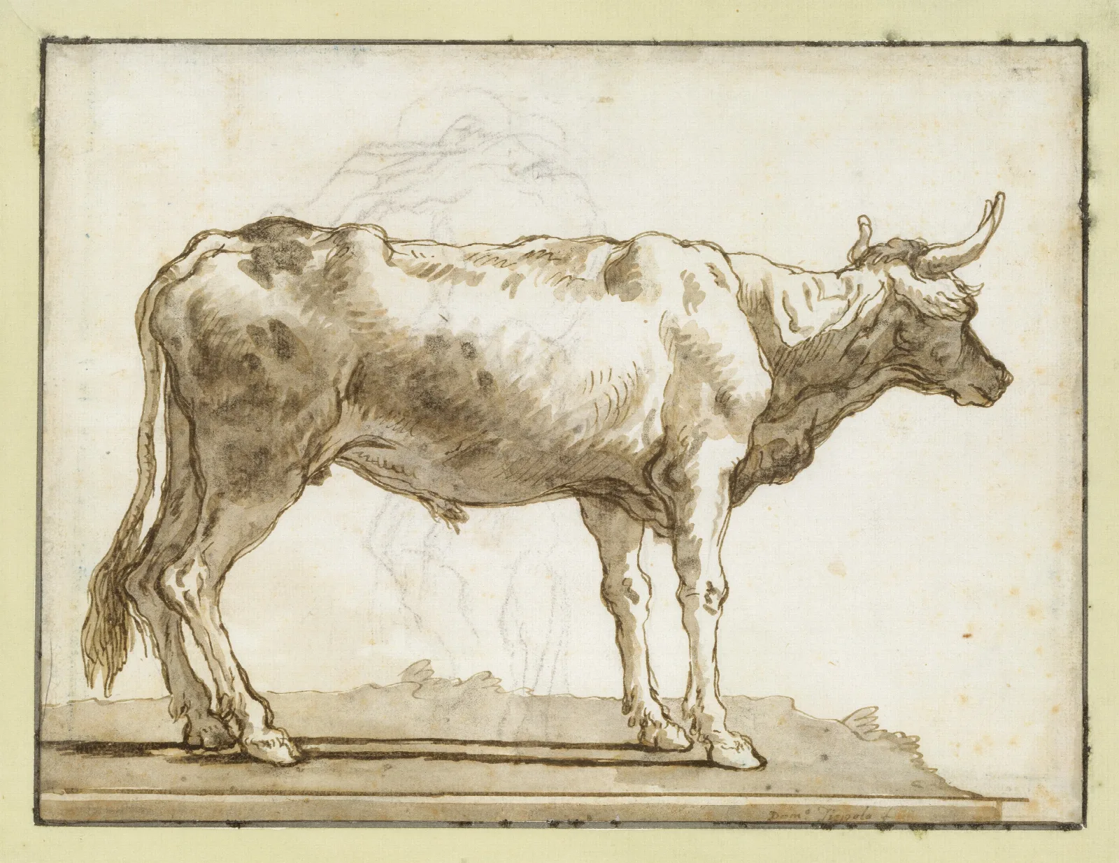 A Bullock Standing To The Right On A Base Wall Art by Giovanni Domenico Tiepolo - Canvas Print