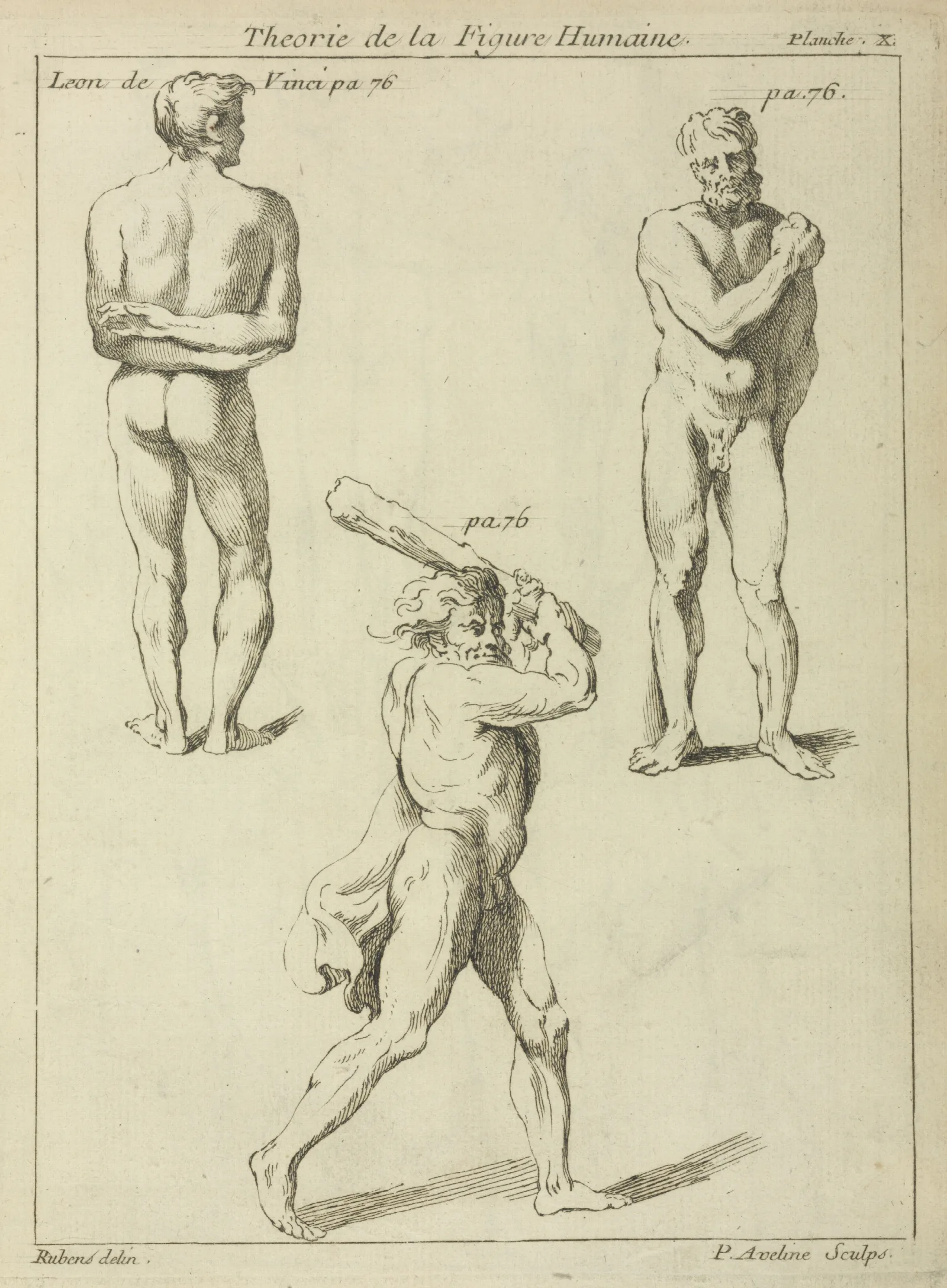 Three Studies Of Male Figures 2 Wall Art by Peter Paul Rubens - Canvas Print