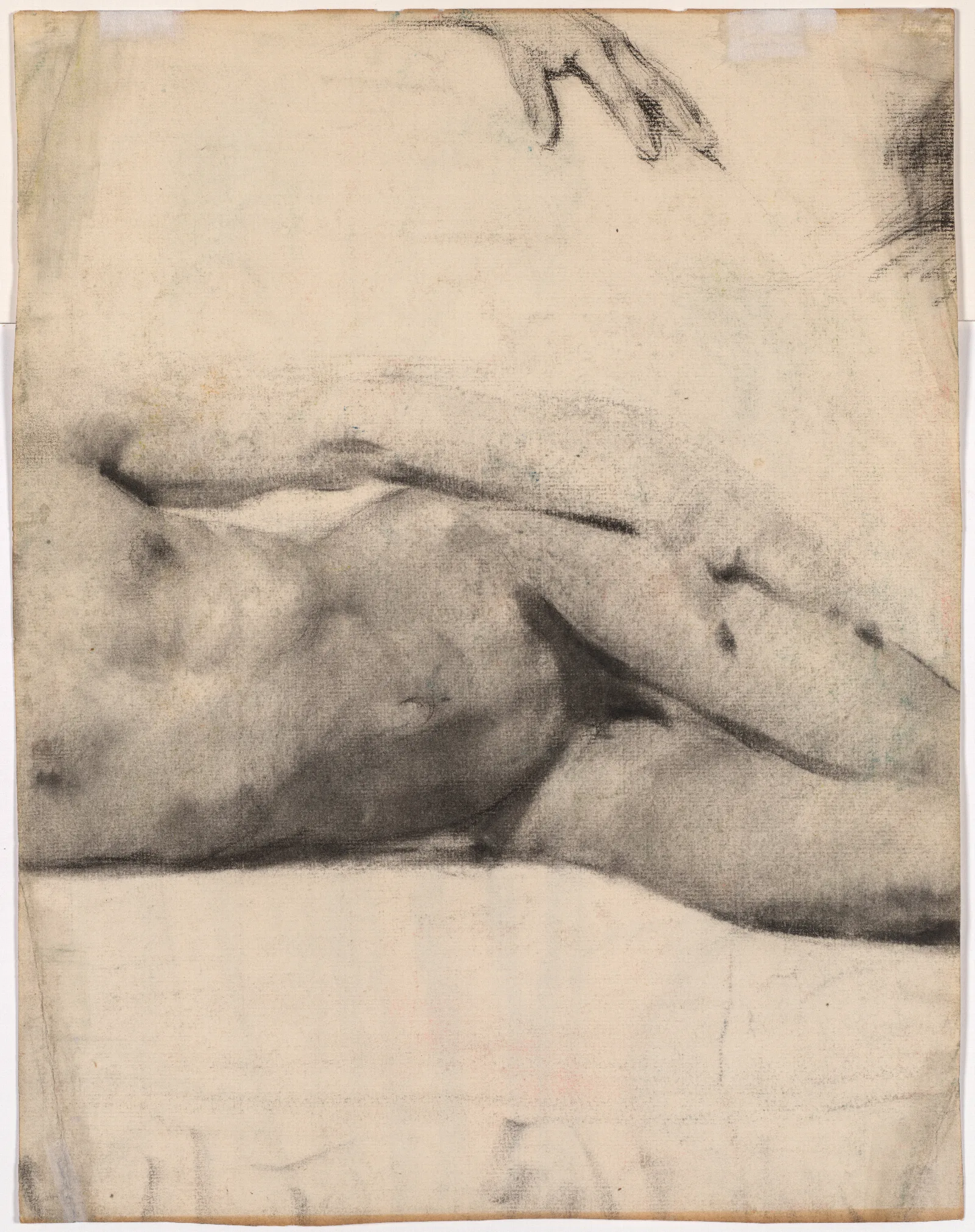 Reclining Male Nude 10 Wall Art by Édouard Vuillard - Canvas Print