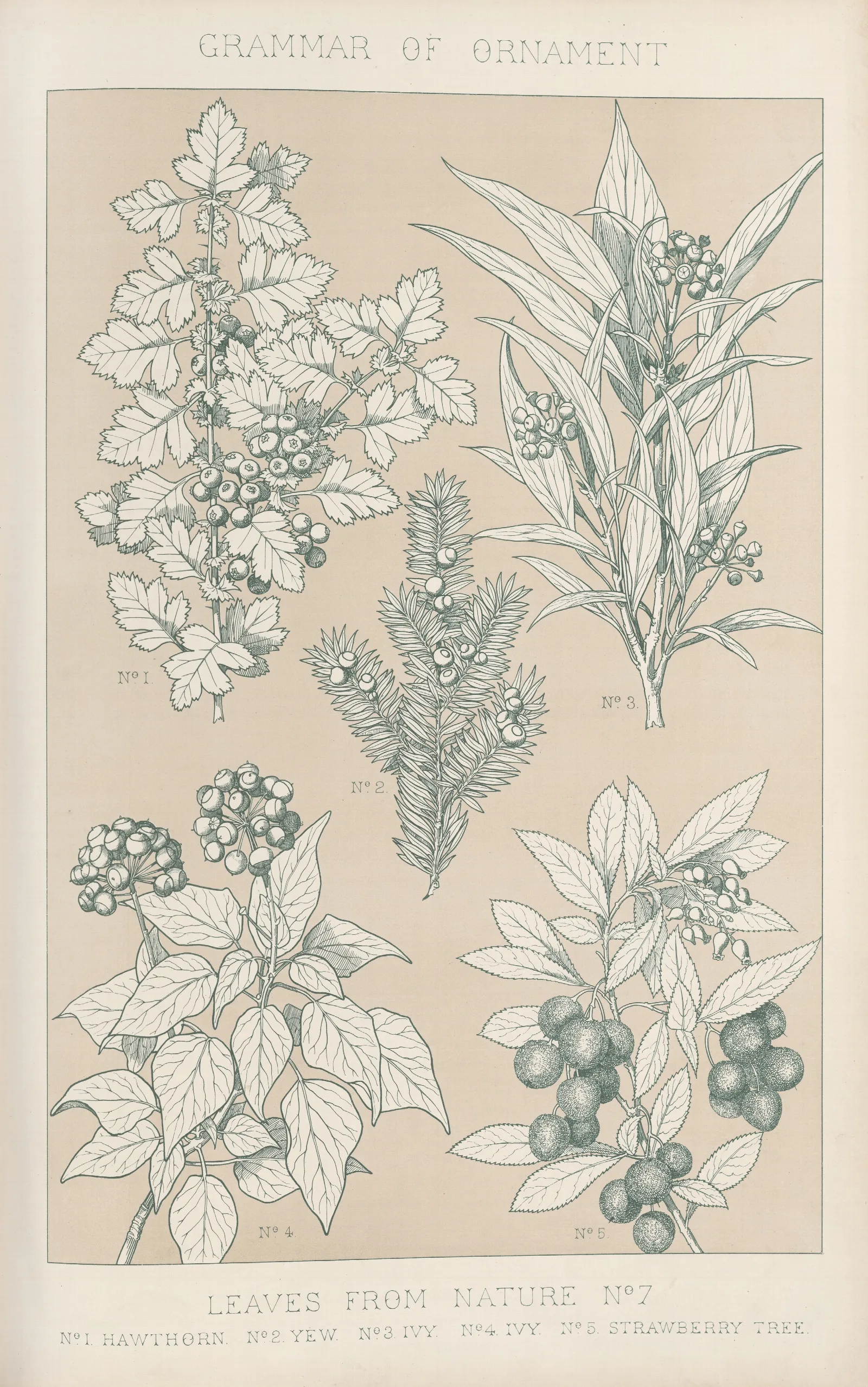 Leaves From Nature No 7 2 Wall Art by Owen Jones - Canvas Print