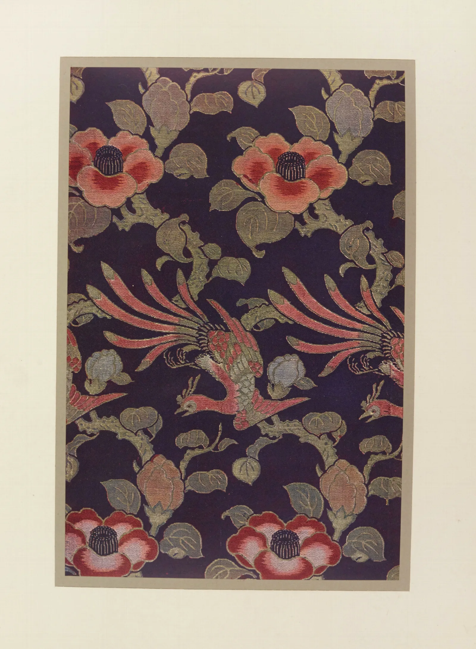 Oiseaux Et Camelias Wall Art by Maurice Pillard Verneuil - Canvas Print