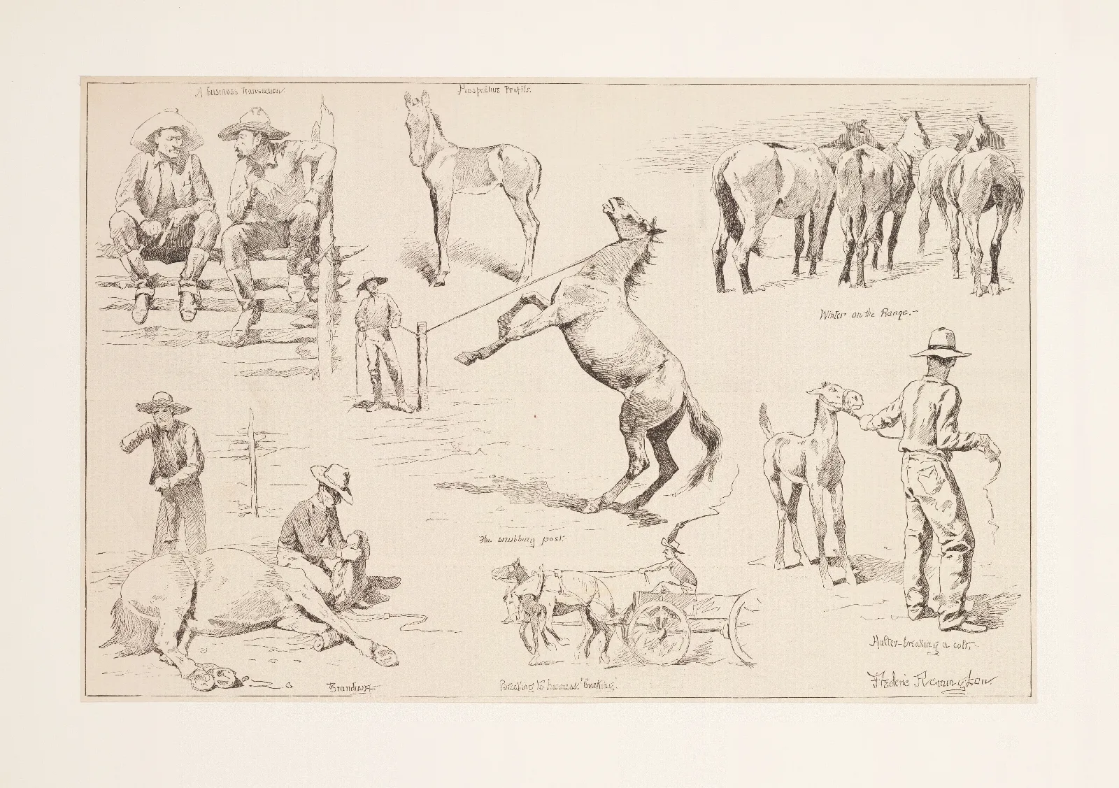 Horse Raising In The Northwest Wall Art by Frederic Remington - Canvas Print