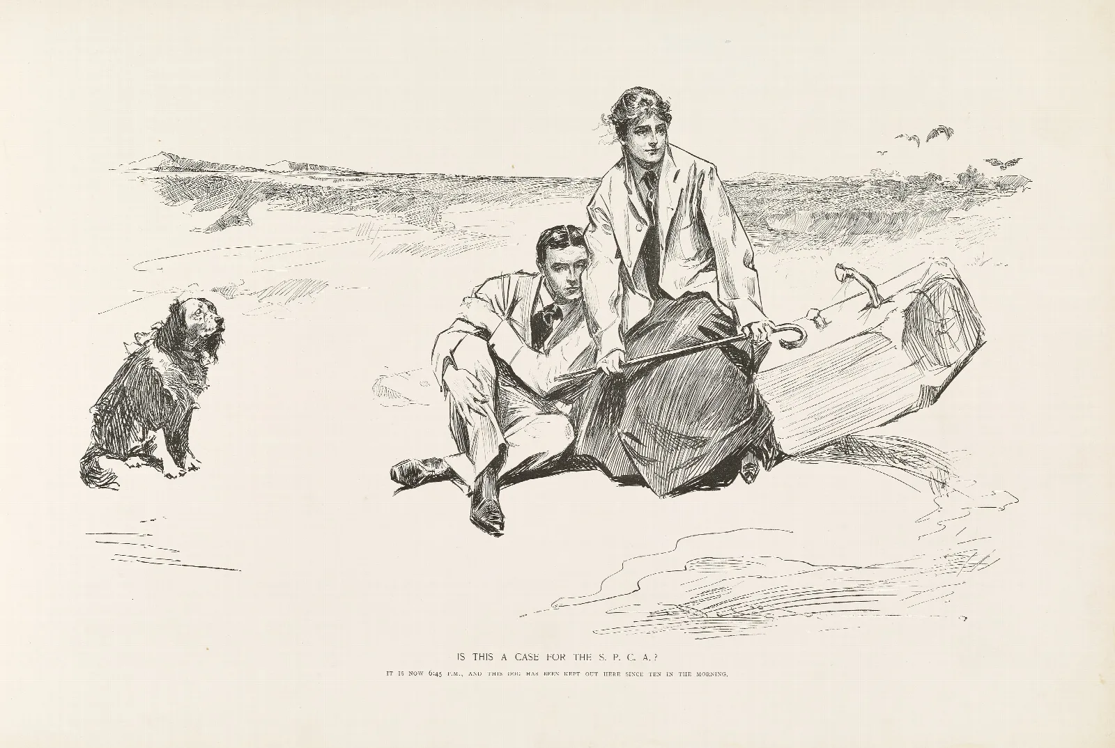 Is This A Case For The S P C A Wall Art by Charles Dana Gibson - Canvas Print