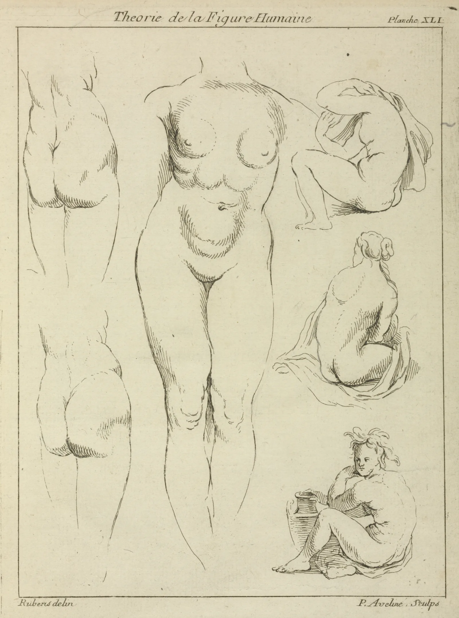 Studies Of The Female Torso Buttocks And Seated Figures Dorsal View Wall Art by Peter Paul Rubens - Canvas Print