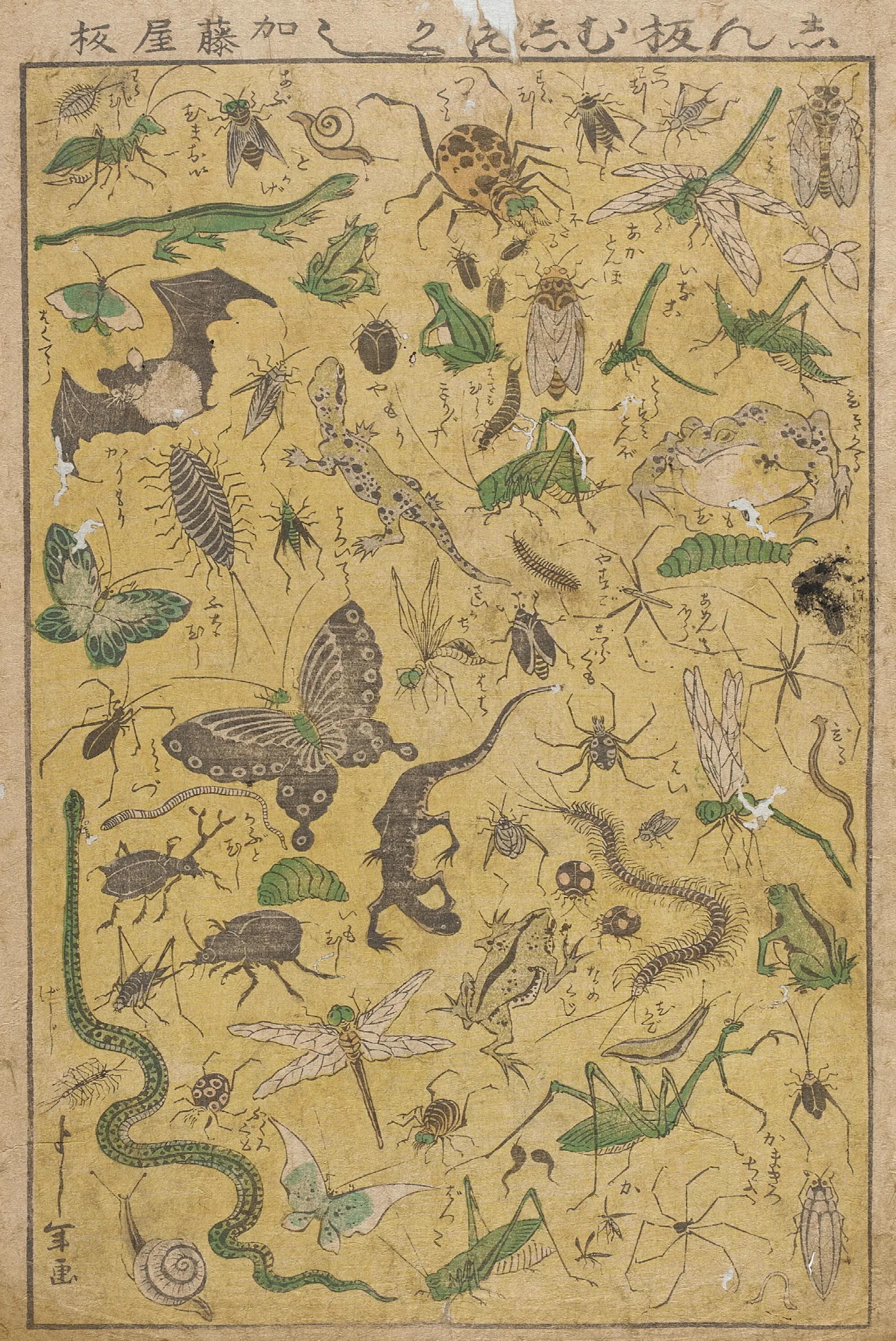 New Publication Of Selected Insects Wall Art by Tsukioka Yoshitoshi - Canvas Print