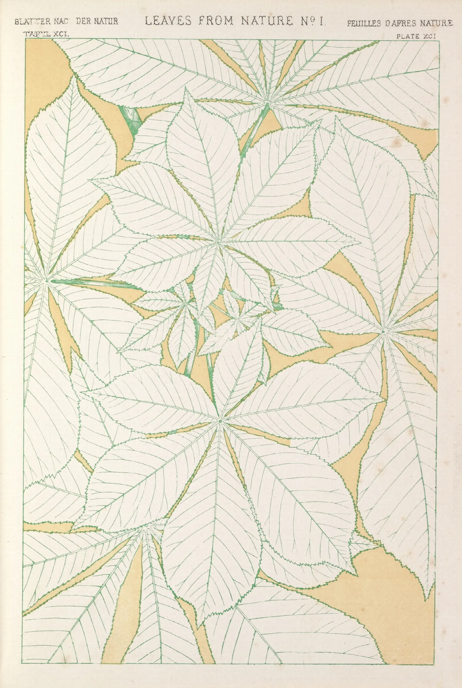 Leaves From Nature No 1 Wall Art by Owen Jones - Canvas Print