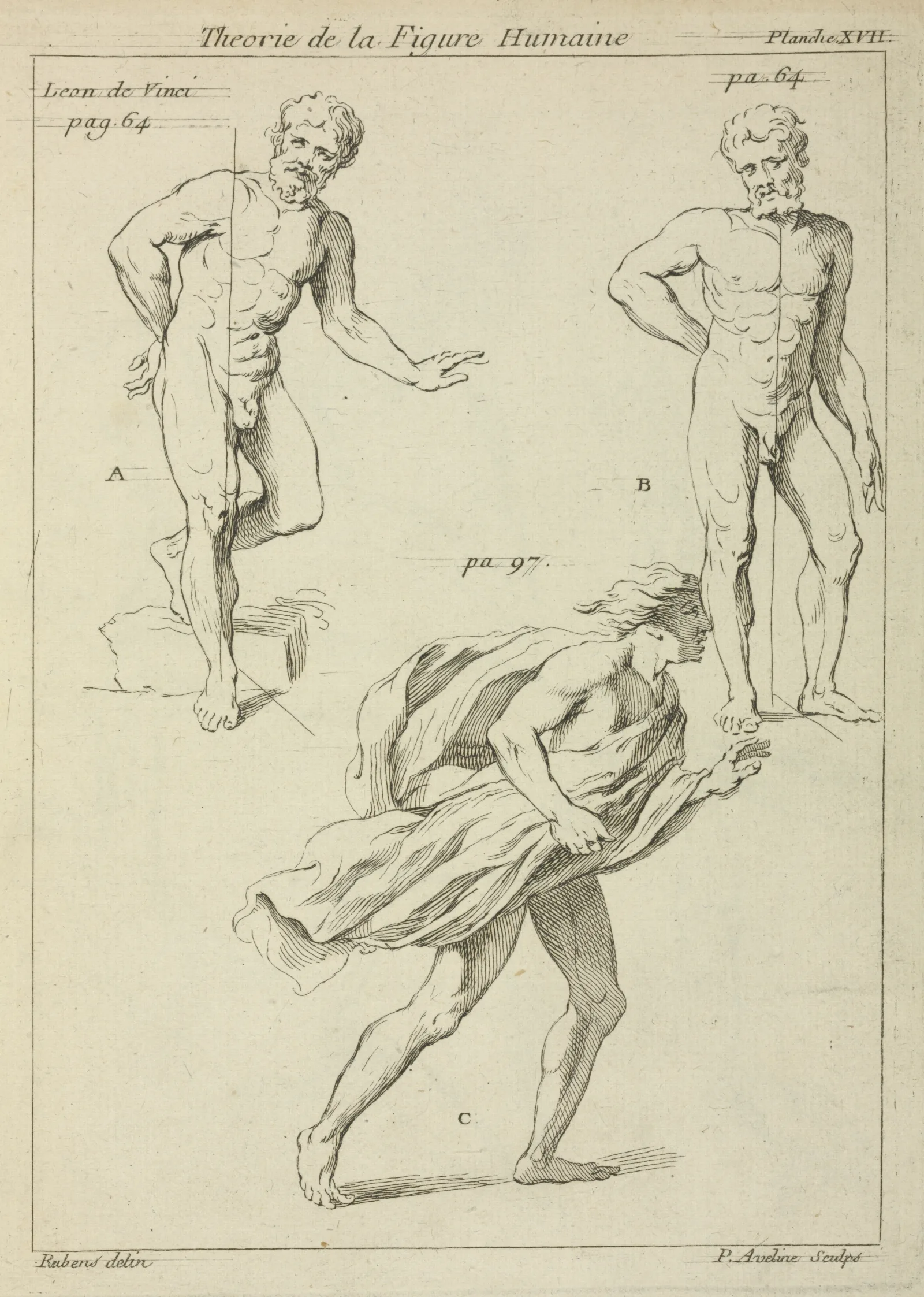 Three Studies Of The Figure Wall Art by Peter Paul Rubens - Canvas Print