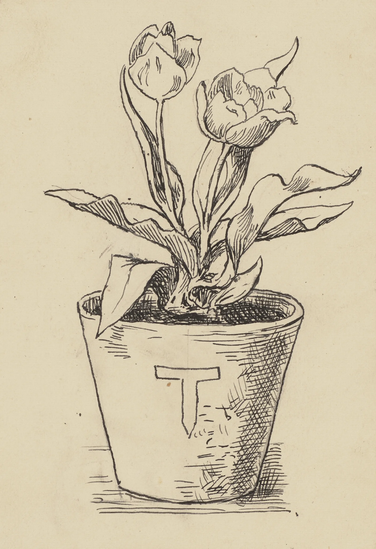 Tulpe Wall Art by Hans Thoma - Canvas Print