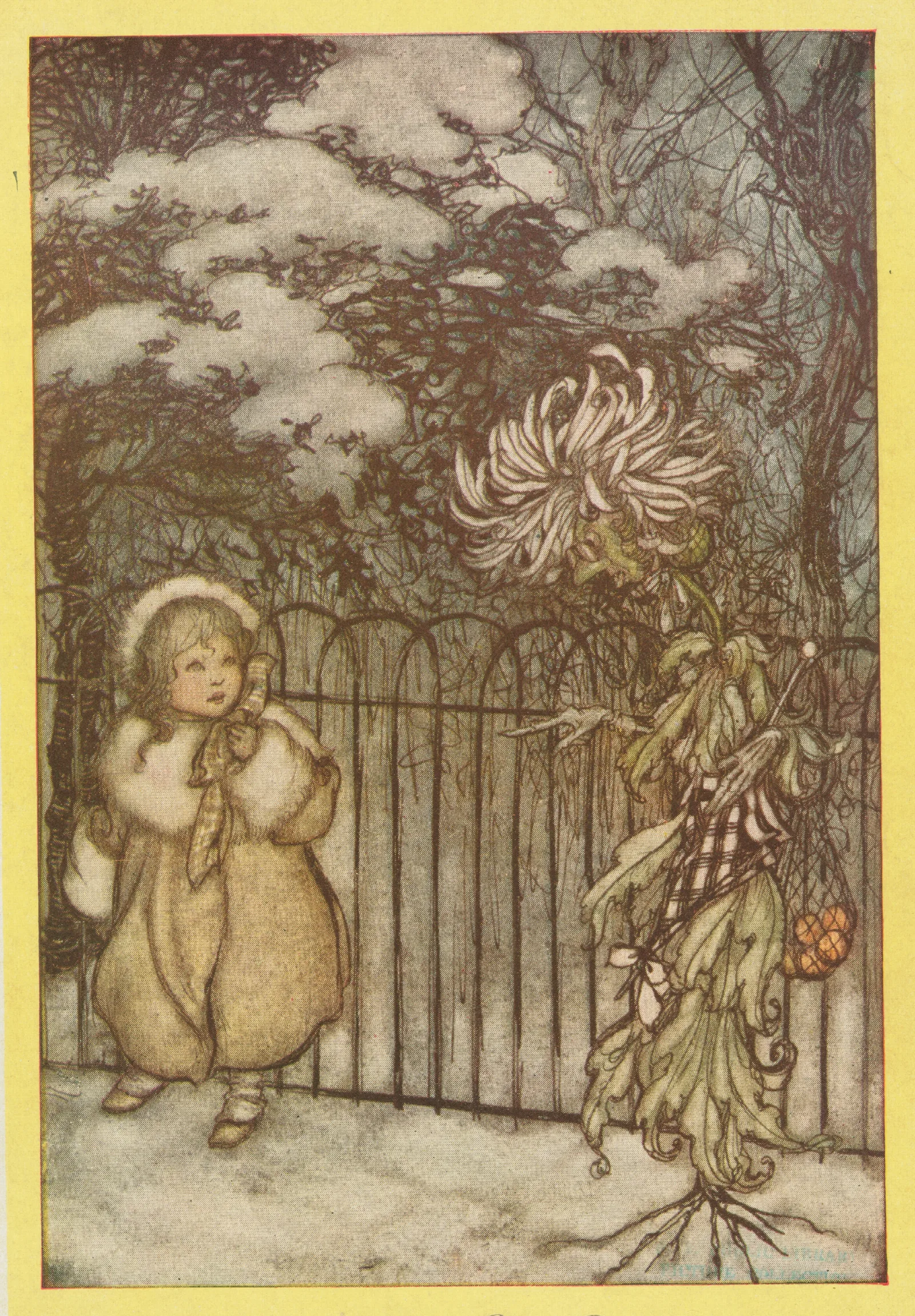 A Chrysanthemum Heard Her And Said Pointedly Hoity Toity What Is This Wall Art by Arthur Rackham - Canvas Print