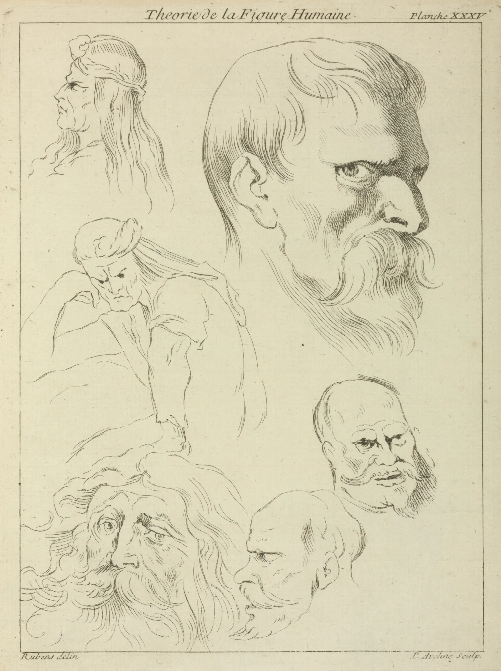 Five Studies Of Mens Heads Displaying Various Hair Styles Beards And Mustaches One Seated Figure Half Length Wall Art by Peter Paul Rubens - Canvas Print