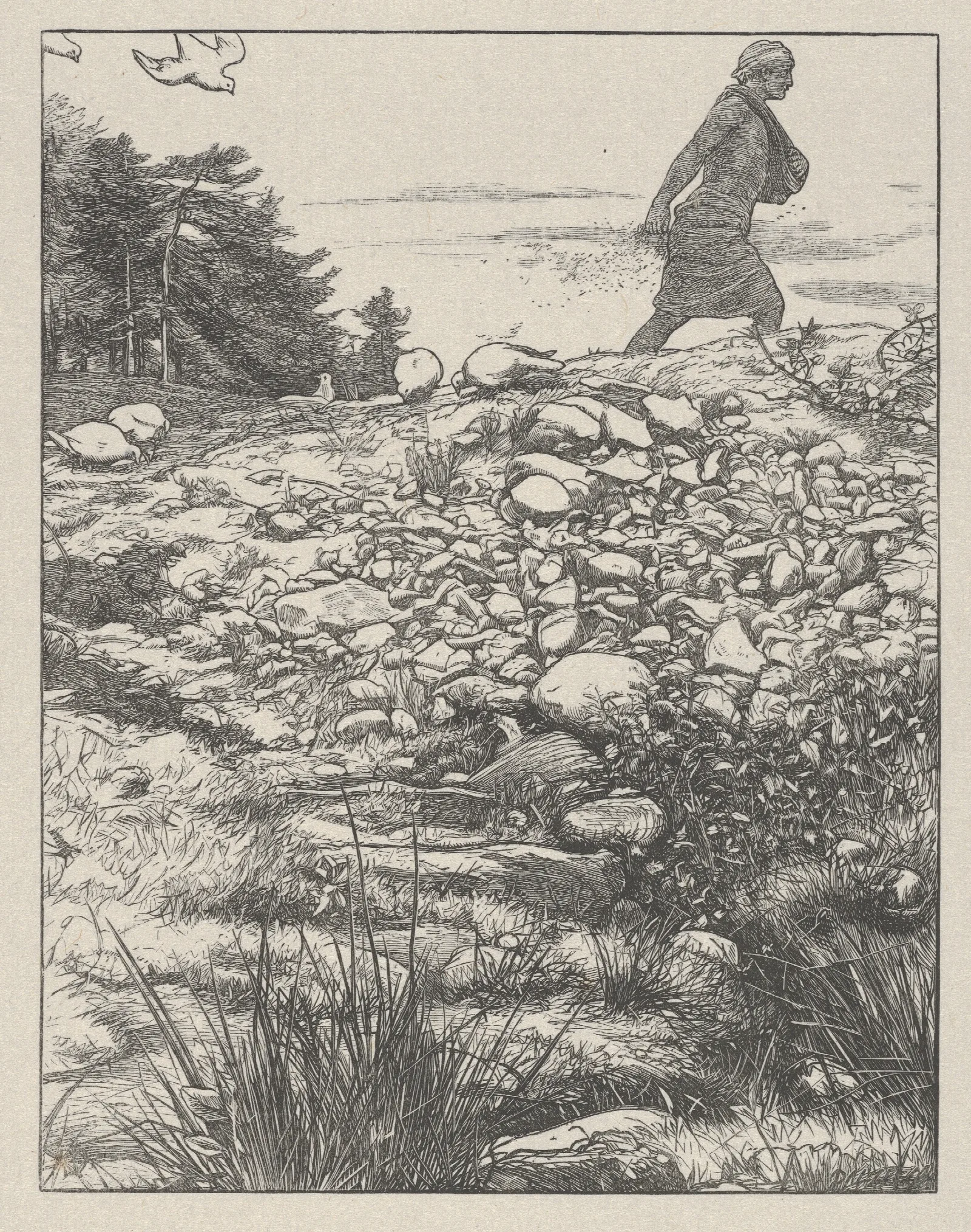 The Sower 7 Wall Art by Sir John Everett Millais - Canvas Print