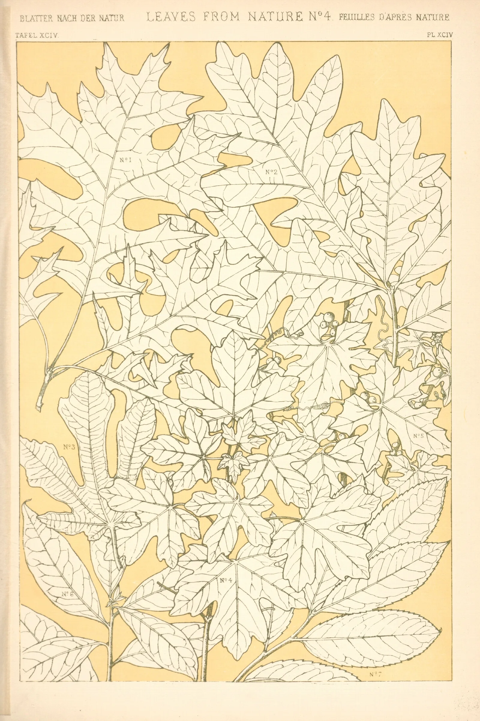 Leaves From Nature No 4 3 Wall Art by Owen Jones - Canvas Print