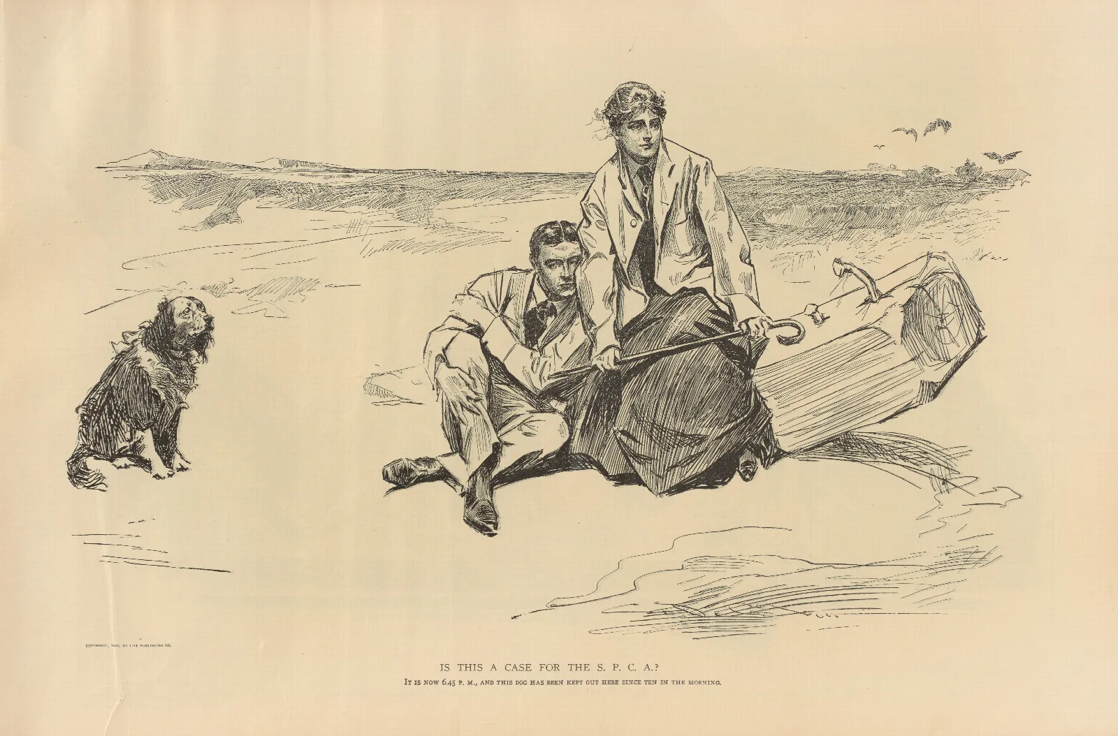 Is This A Case For The S P C A 2 Wall Art by Charles Dana Gibson - Canvas Print