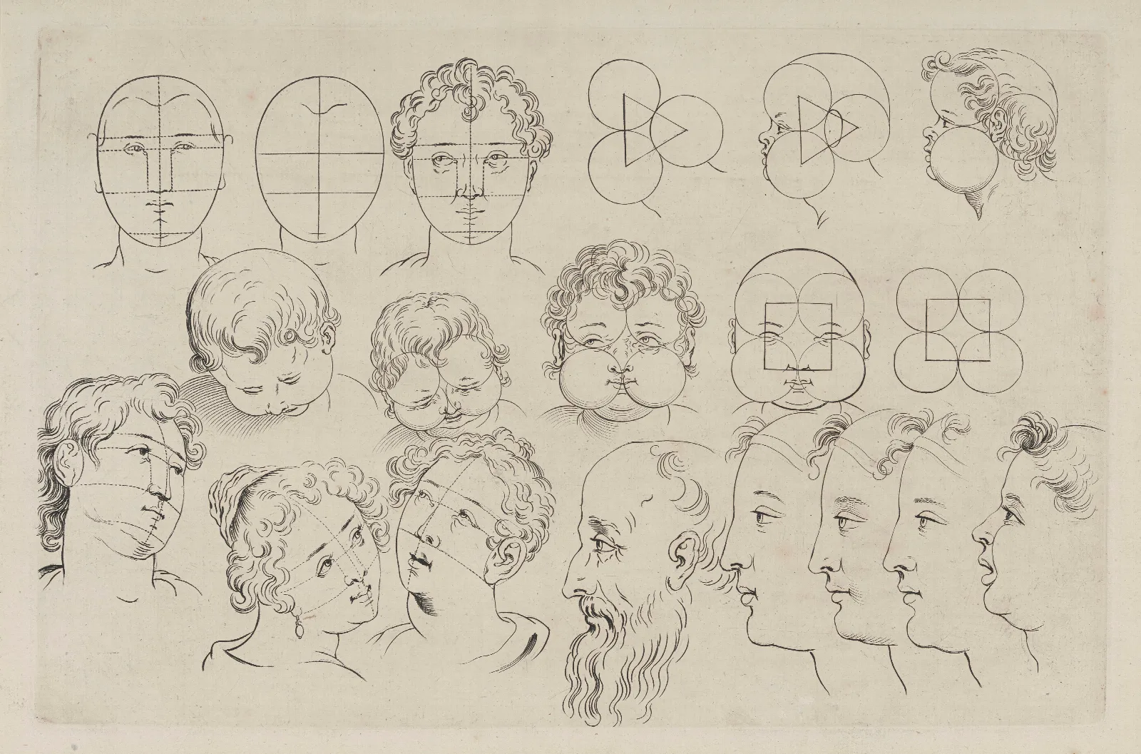 Study Of Heads 7 Wall Art by Peter Paul Rubens - Canvas Print