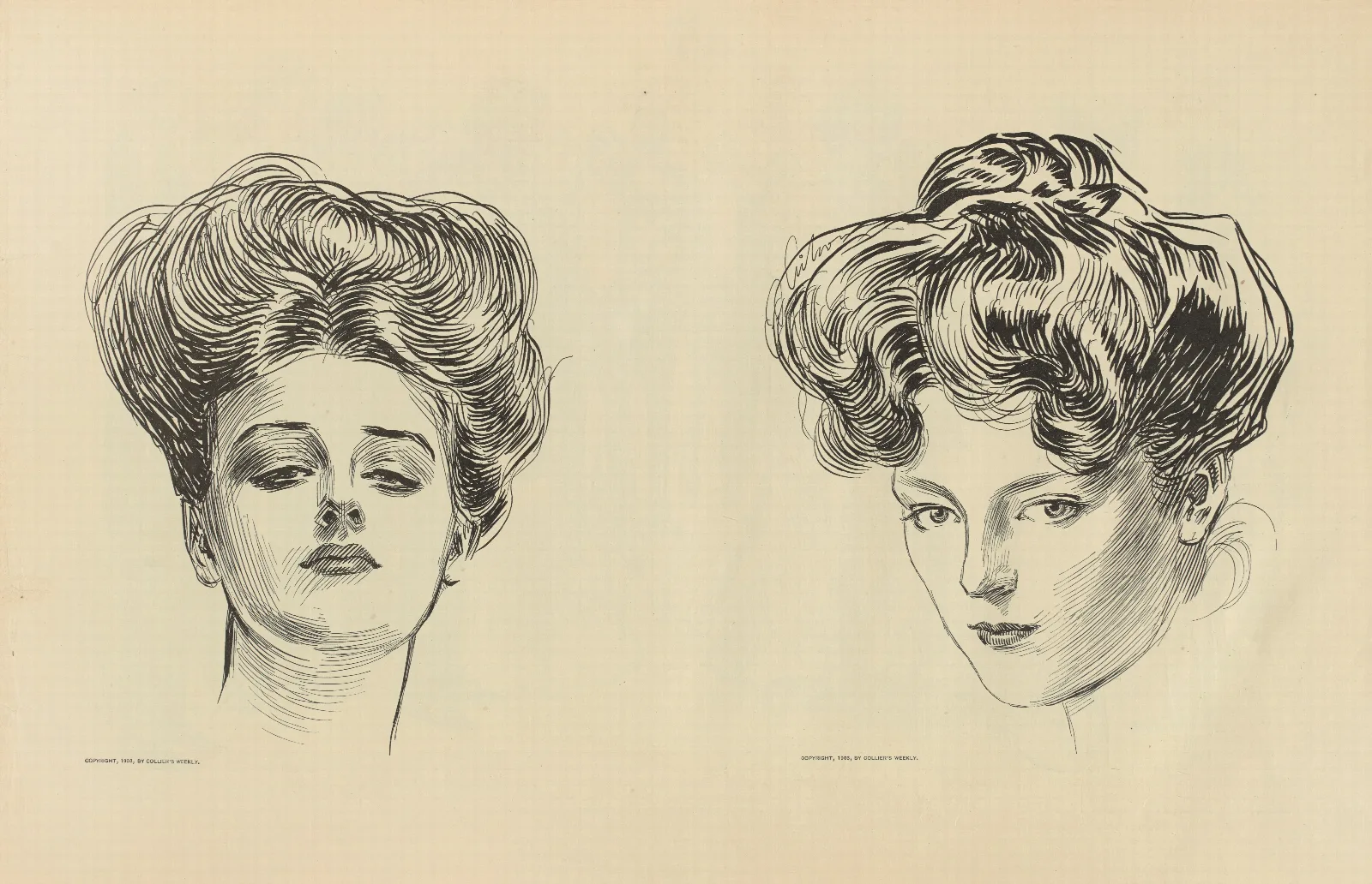 Illustration 301 by Charles Dana Gibson Wall Art by Charles Dana Gibson - Canvas Print